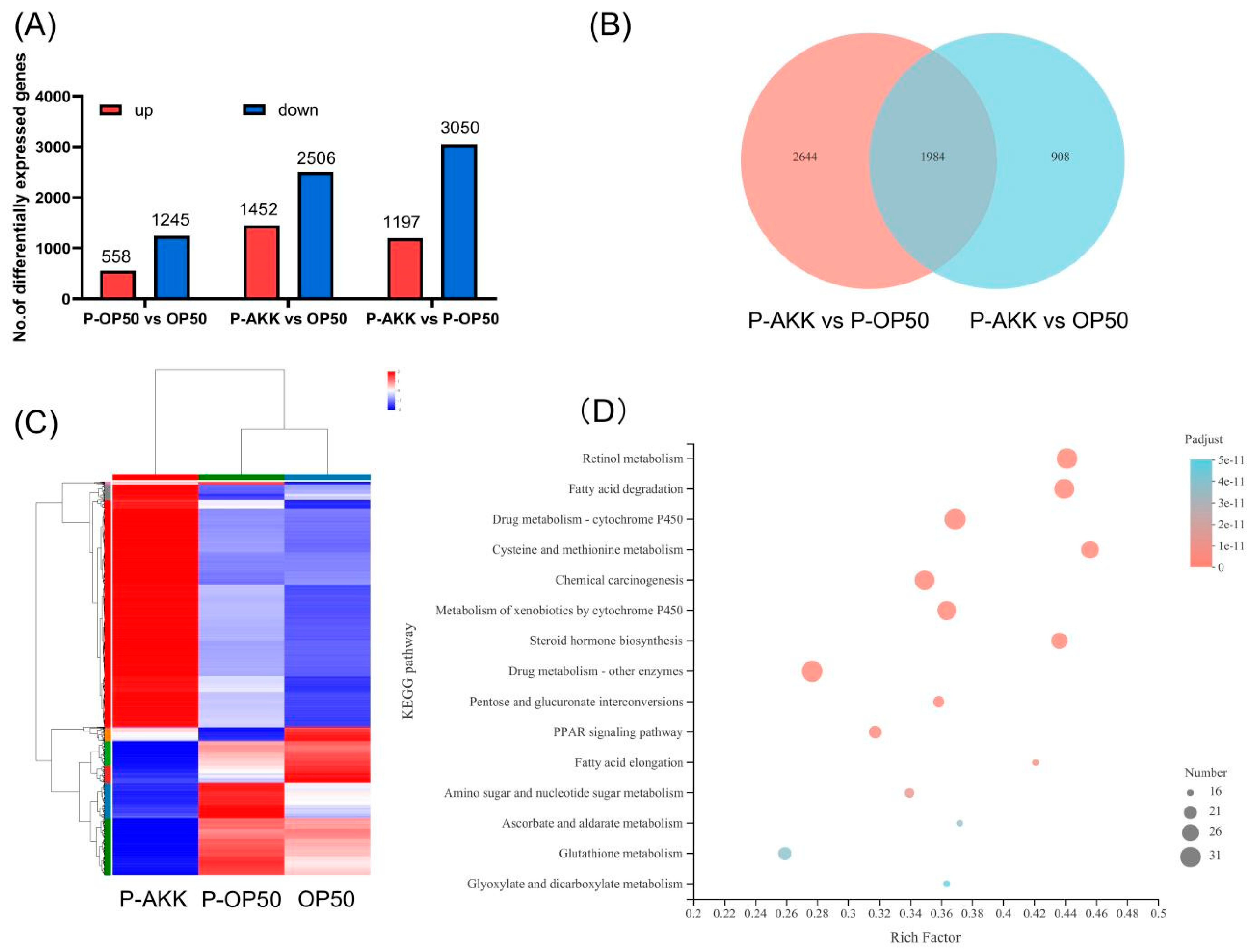 Molecules 27 06159 g005