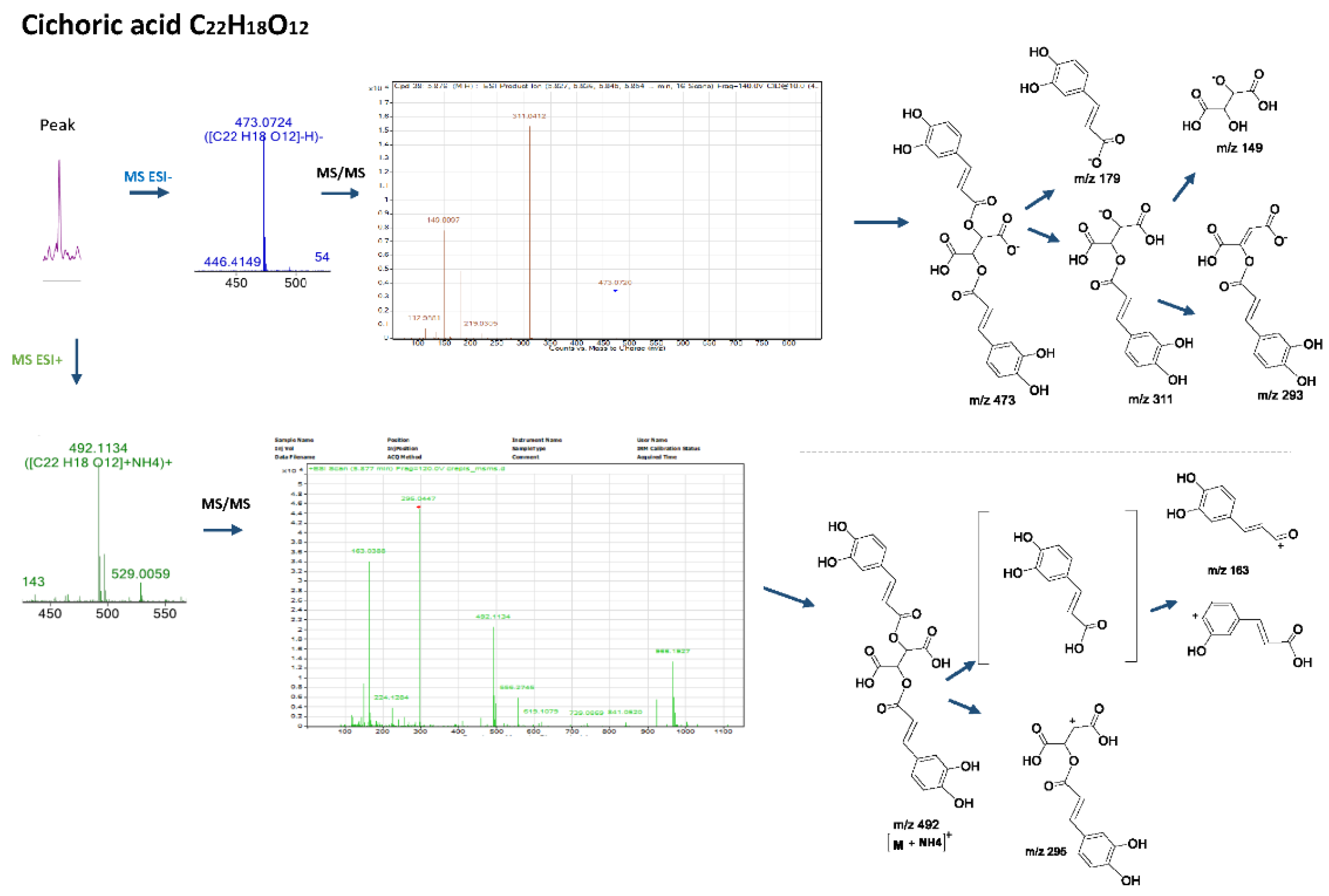 Molecules 27 06173 g002 Molecules 27 06173 g002