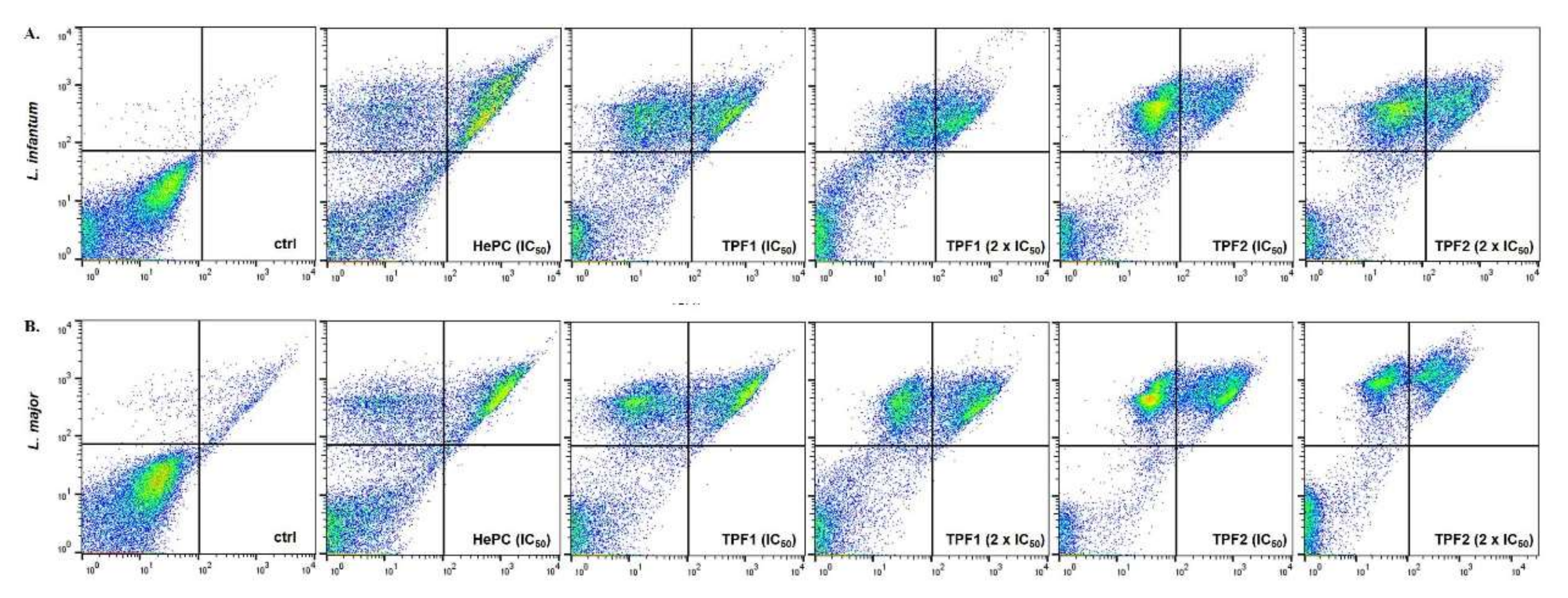Molecules 27 06176 g006