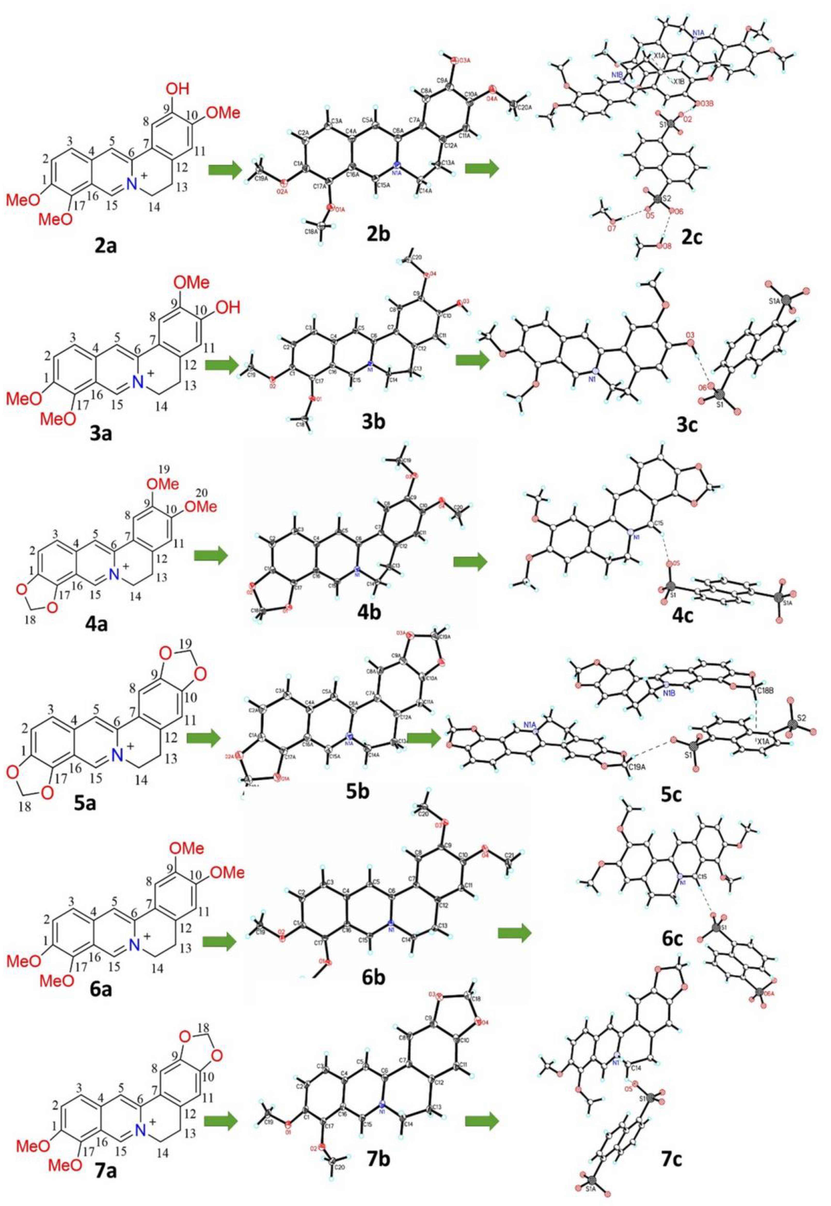 Molecules 27 06179 g005