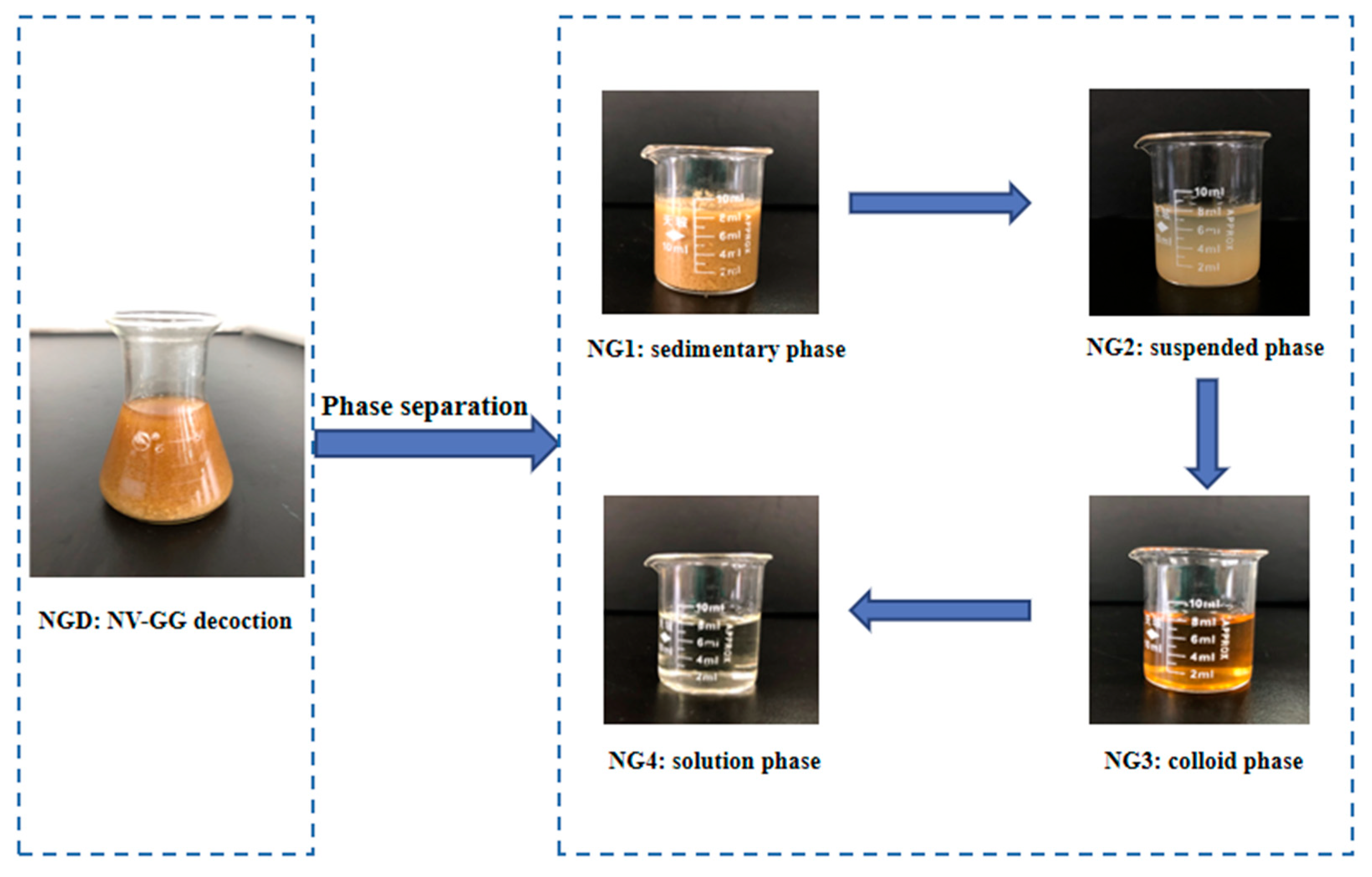 Molecules 27 06180 g005