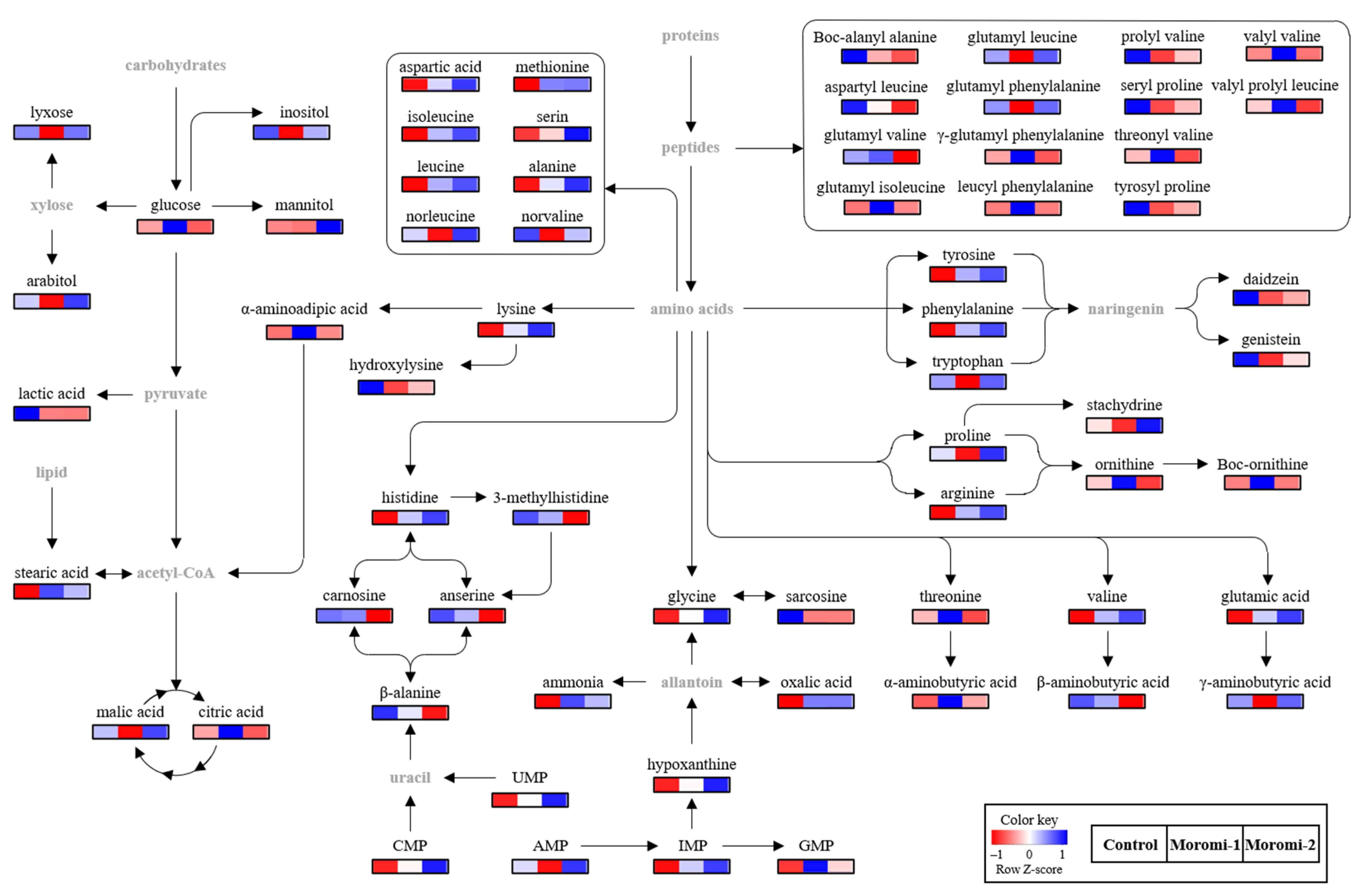 Molecules 27 06182 g004