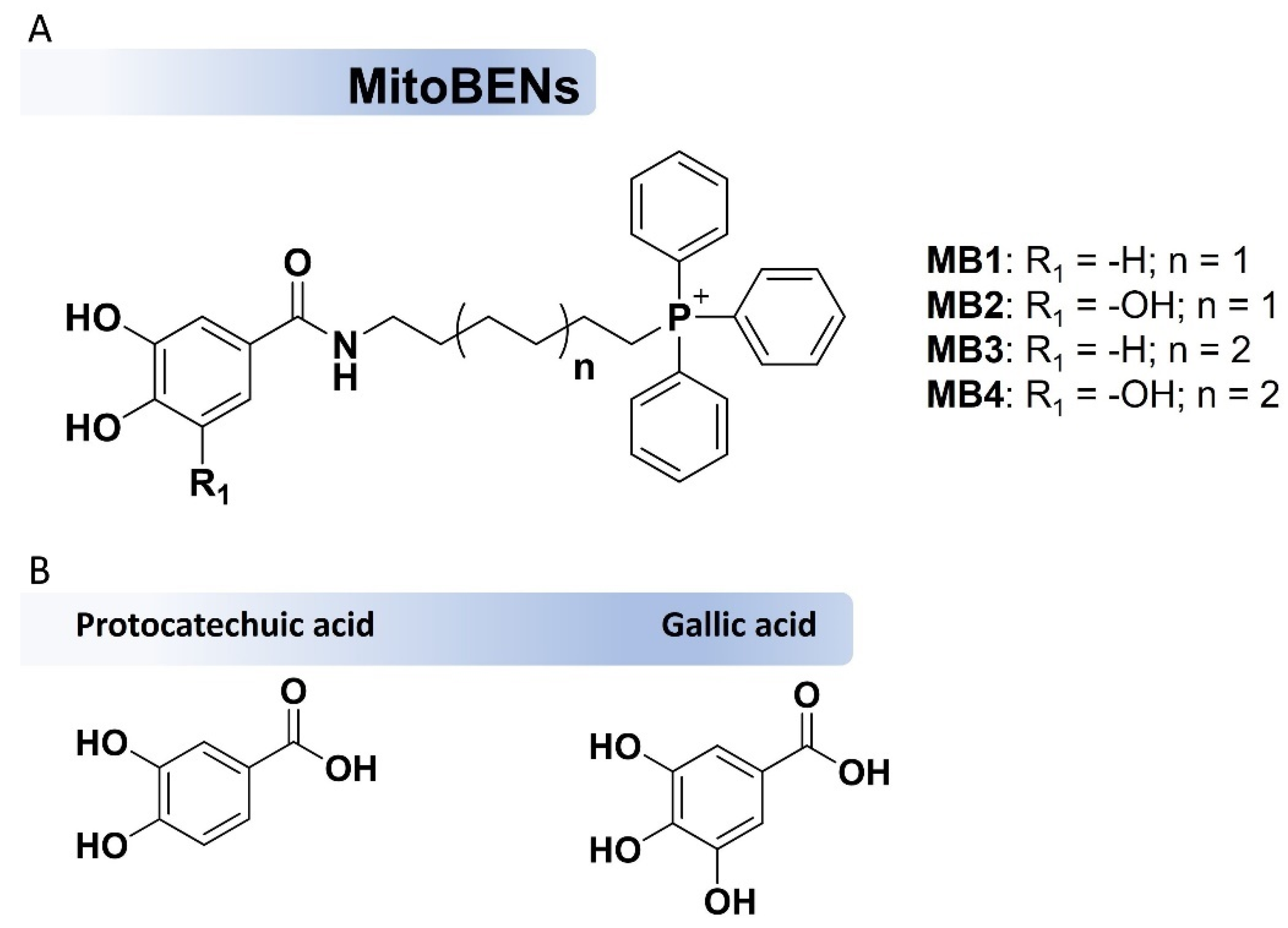Molecules 27 06183 g001