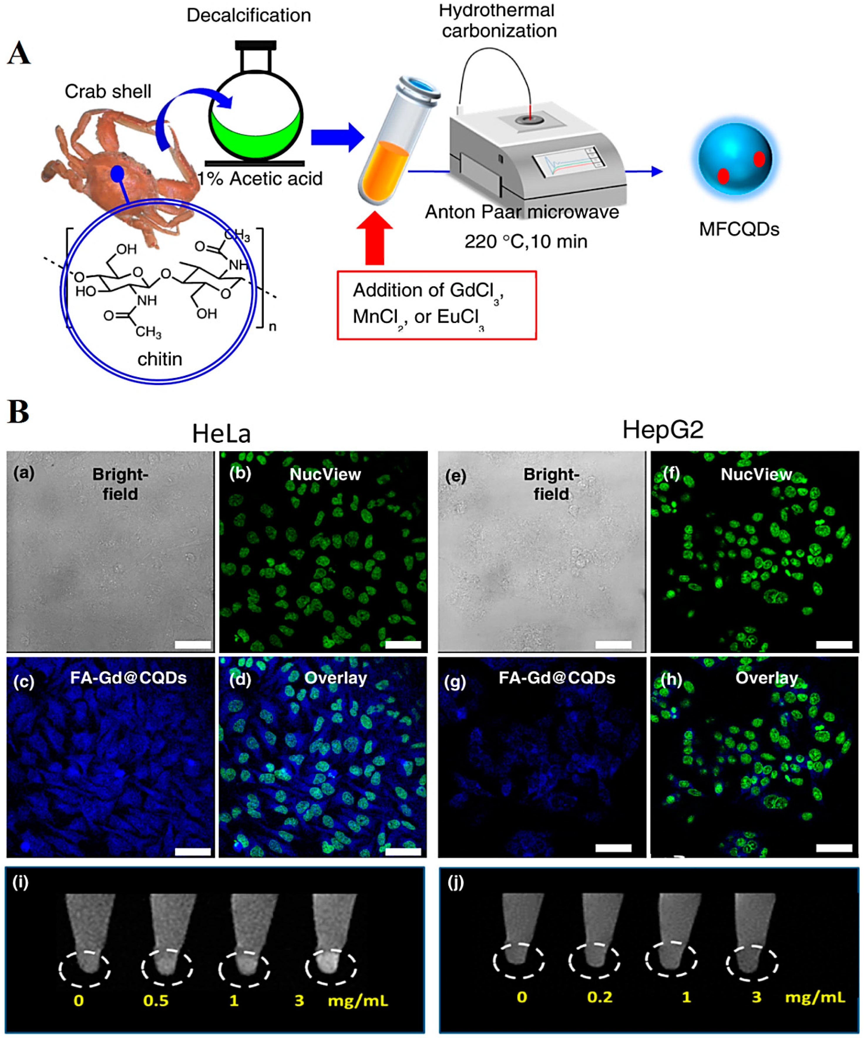 Molecules 27 06186 g003 Molecules 27 06186 g003