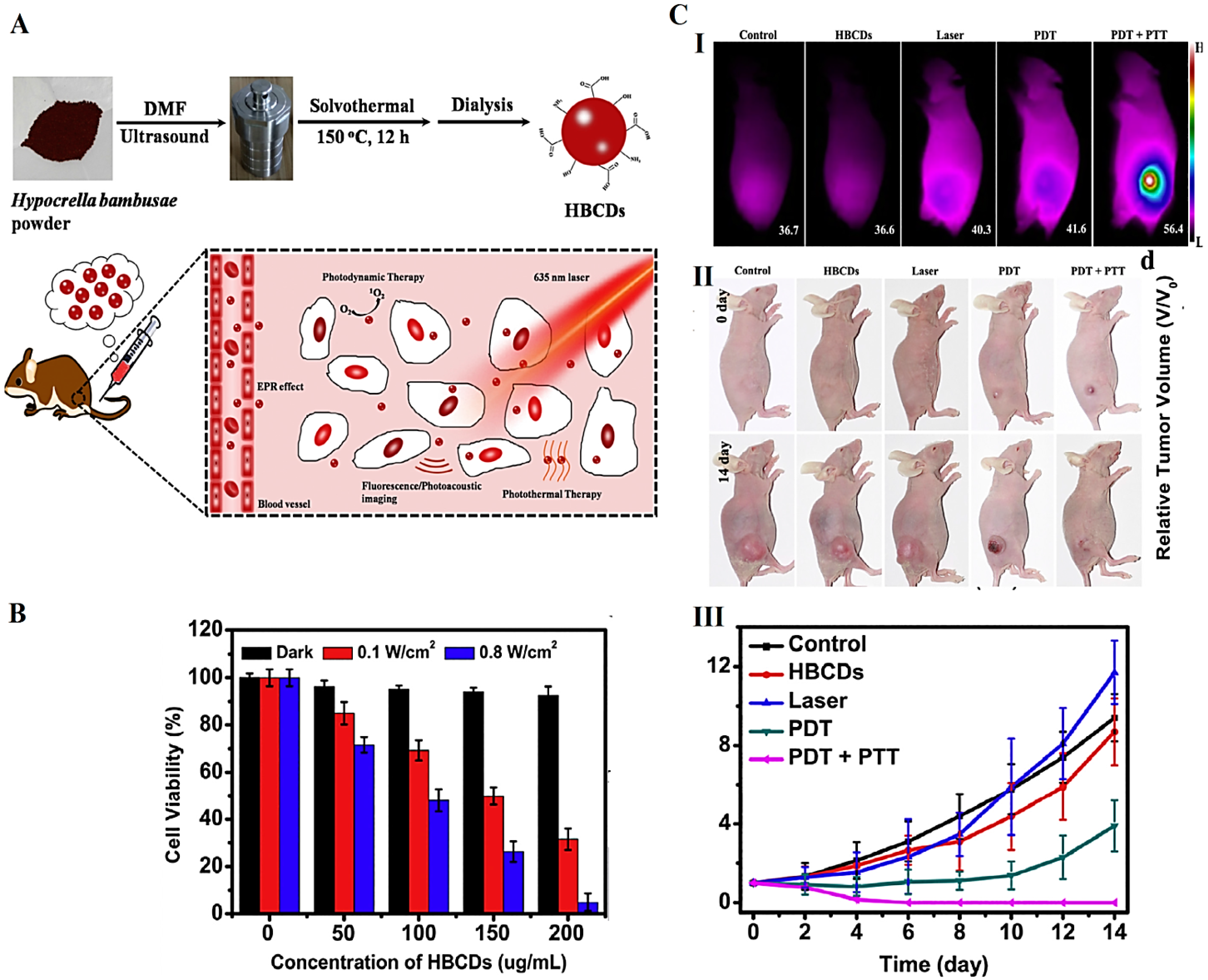 Molecules 27 06186 g004 Molecules 27 06186 g004