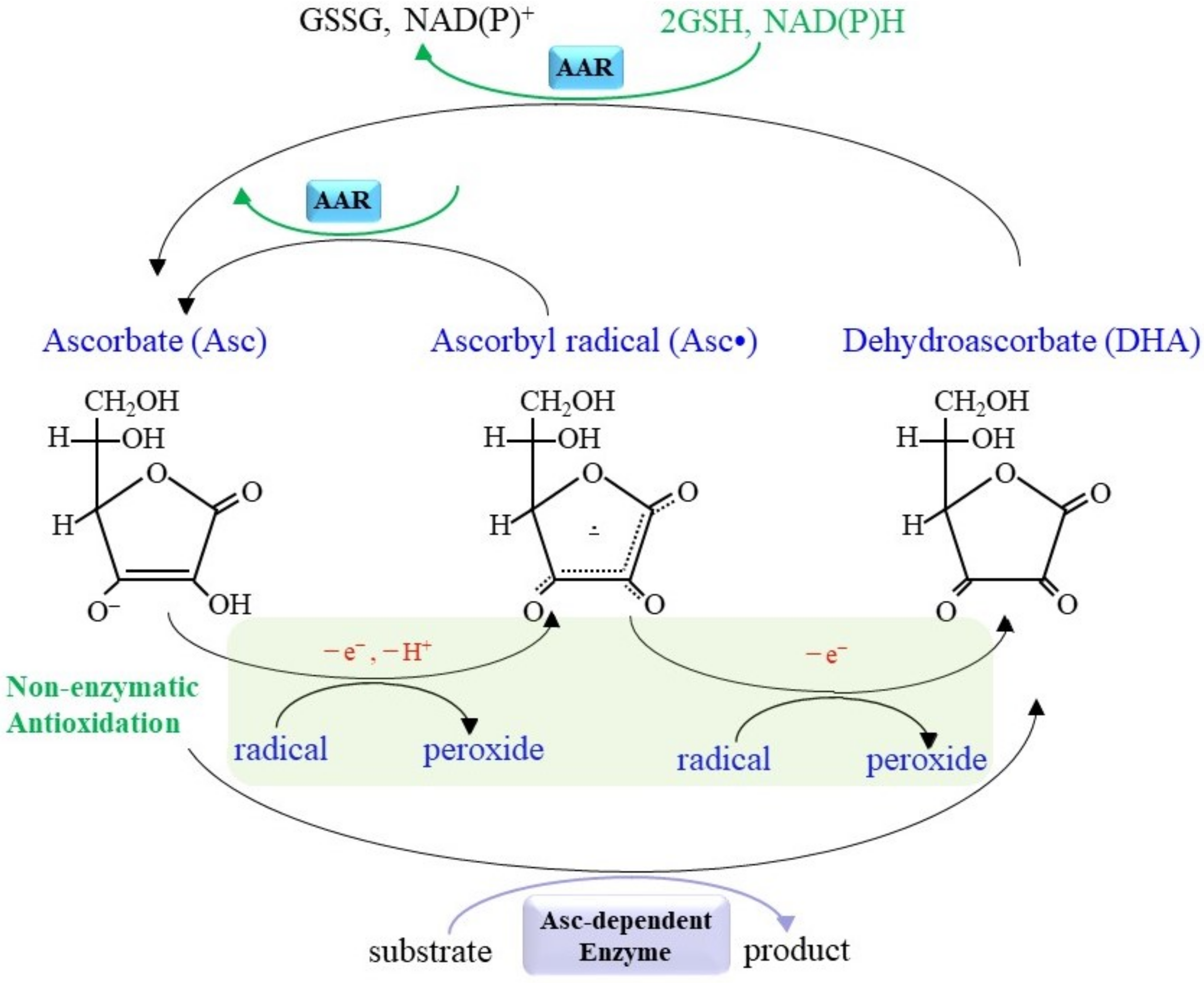 Molecules 27 06187 g001 Molecules 27 06187 g001