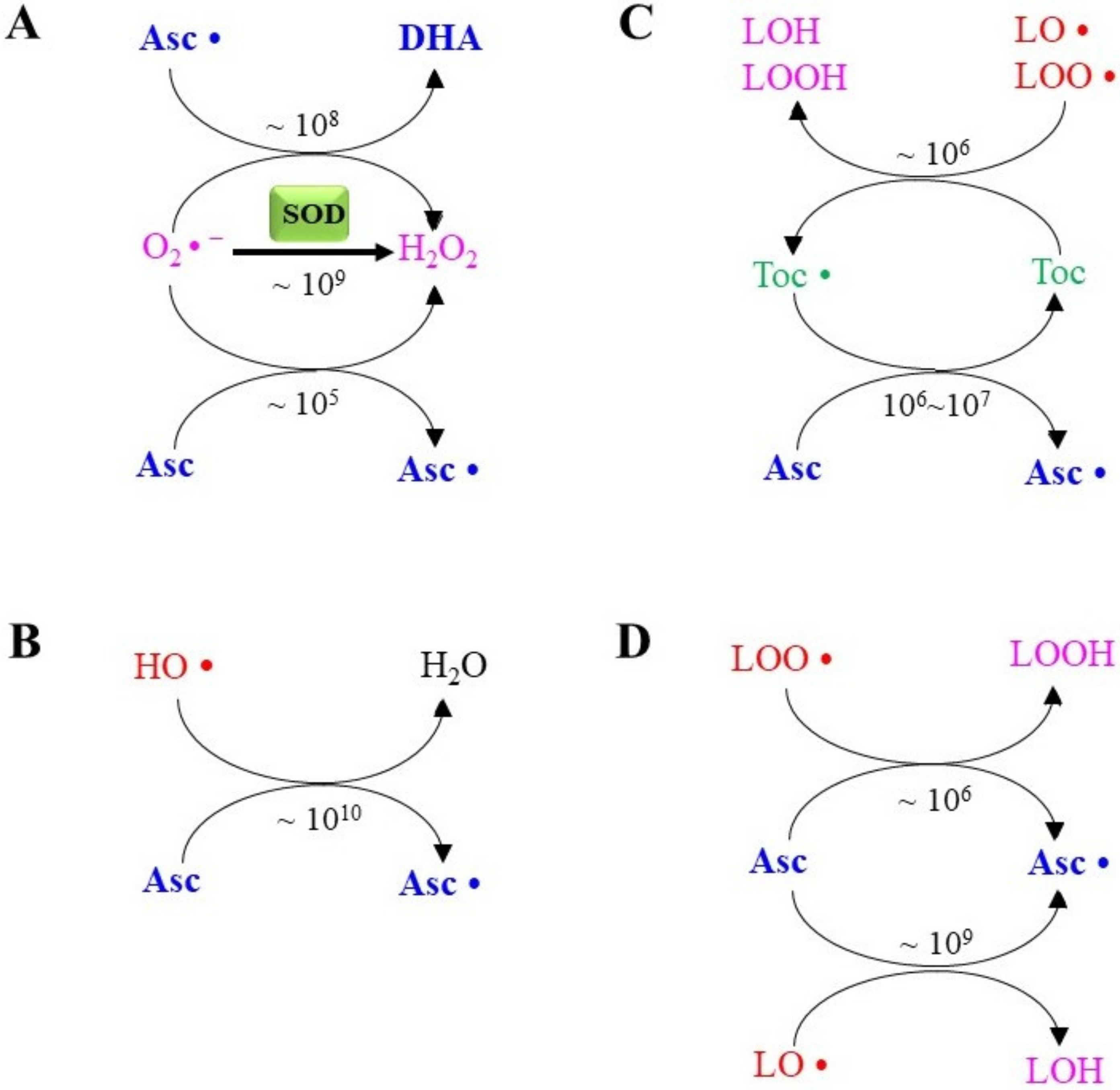 Molecules 27 06187 g002 Molecules 27 06187 g002