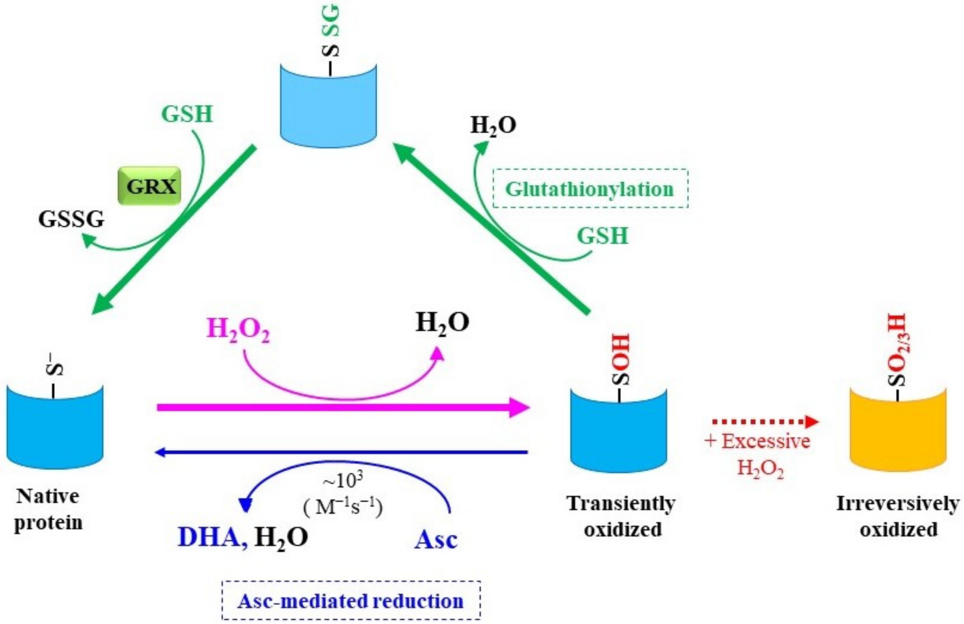 Molecules 27 06187 g003 Molecules 27 06187 g003