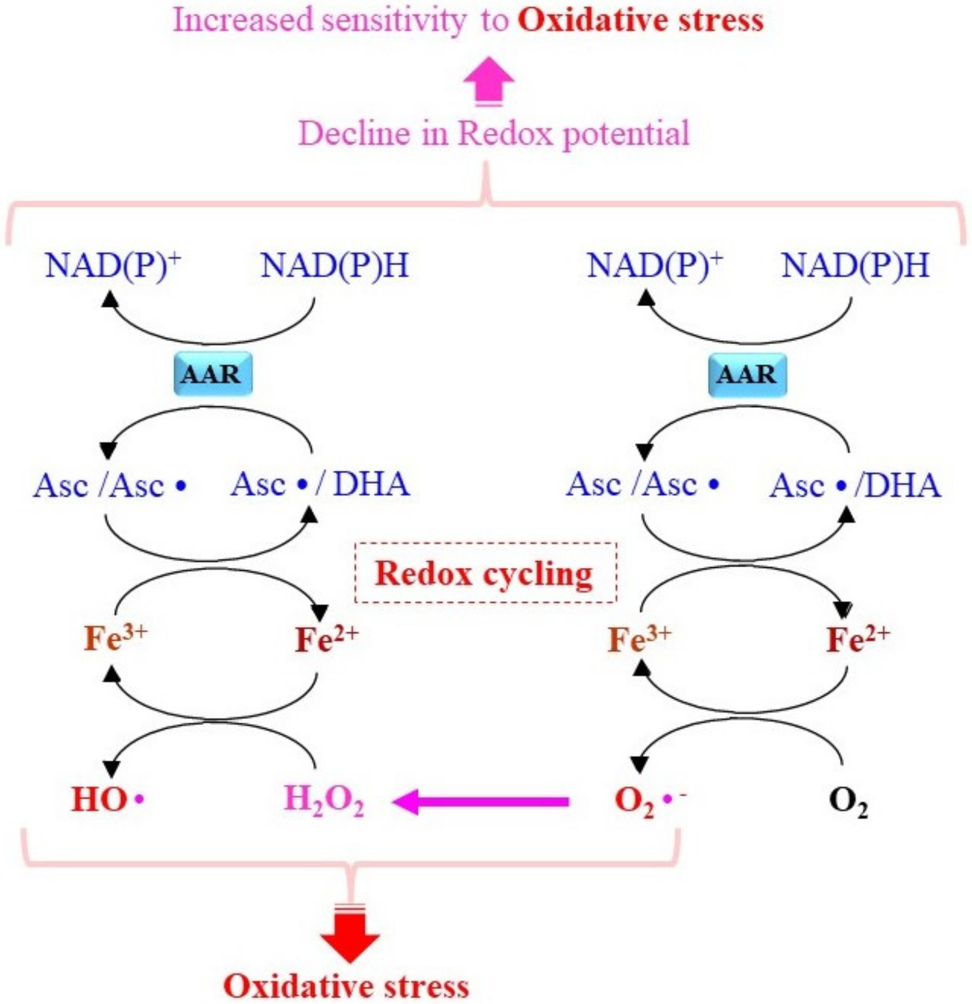 Molecules 27 06187 g004 Molecules 27 06187 g004