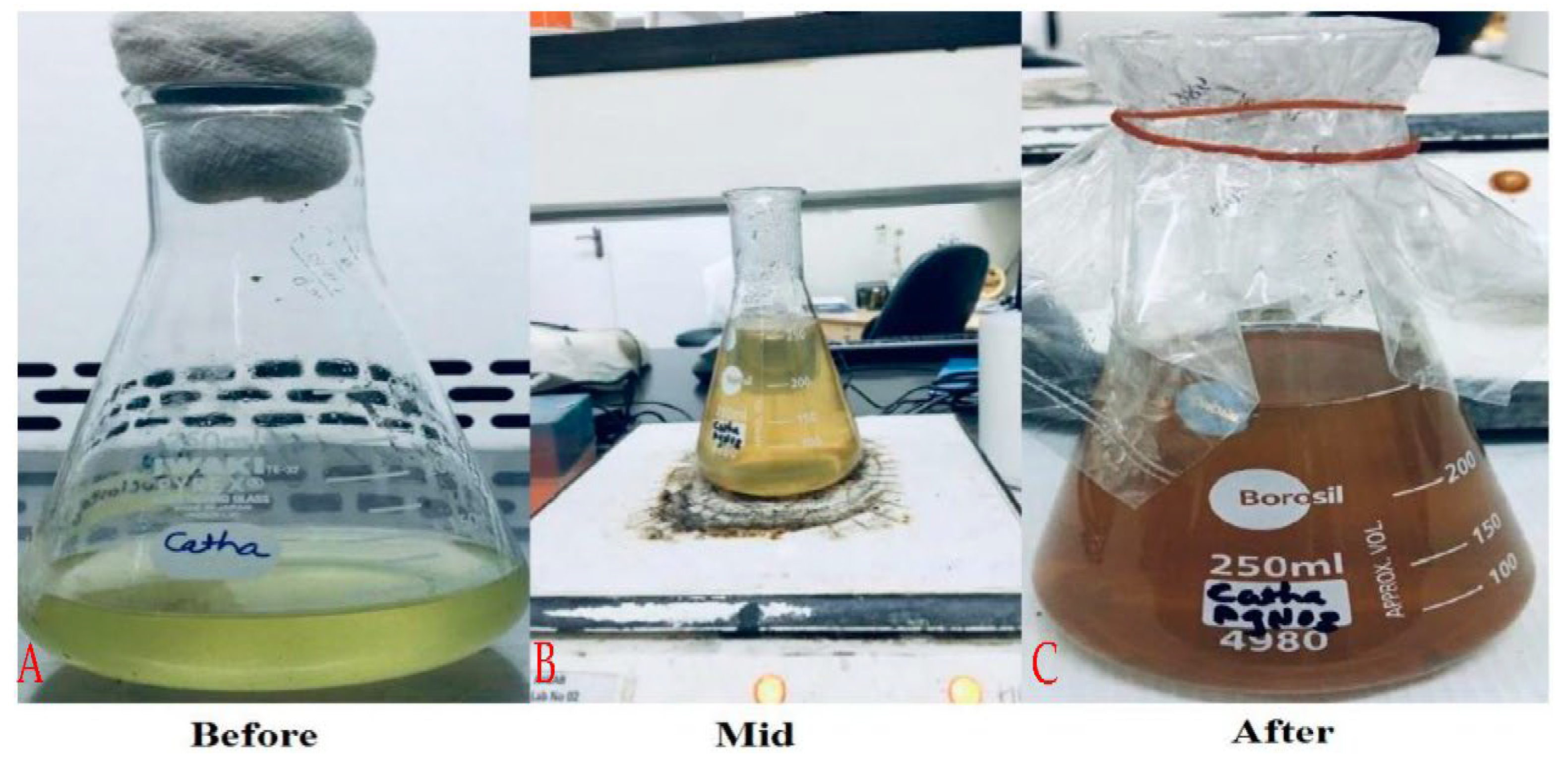 Molecules 27 06191 g001 Molecules 27 06191 g001