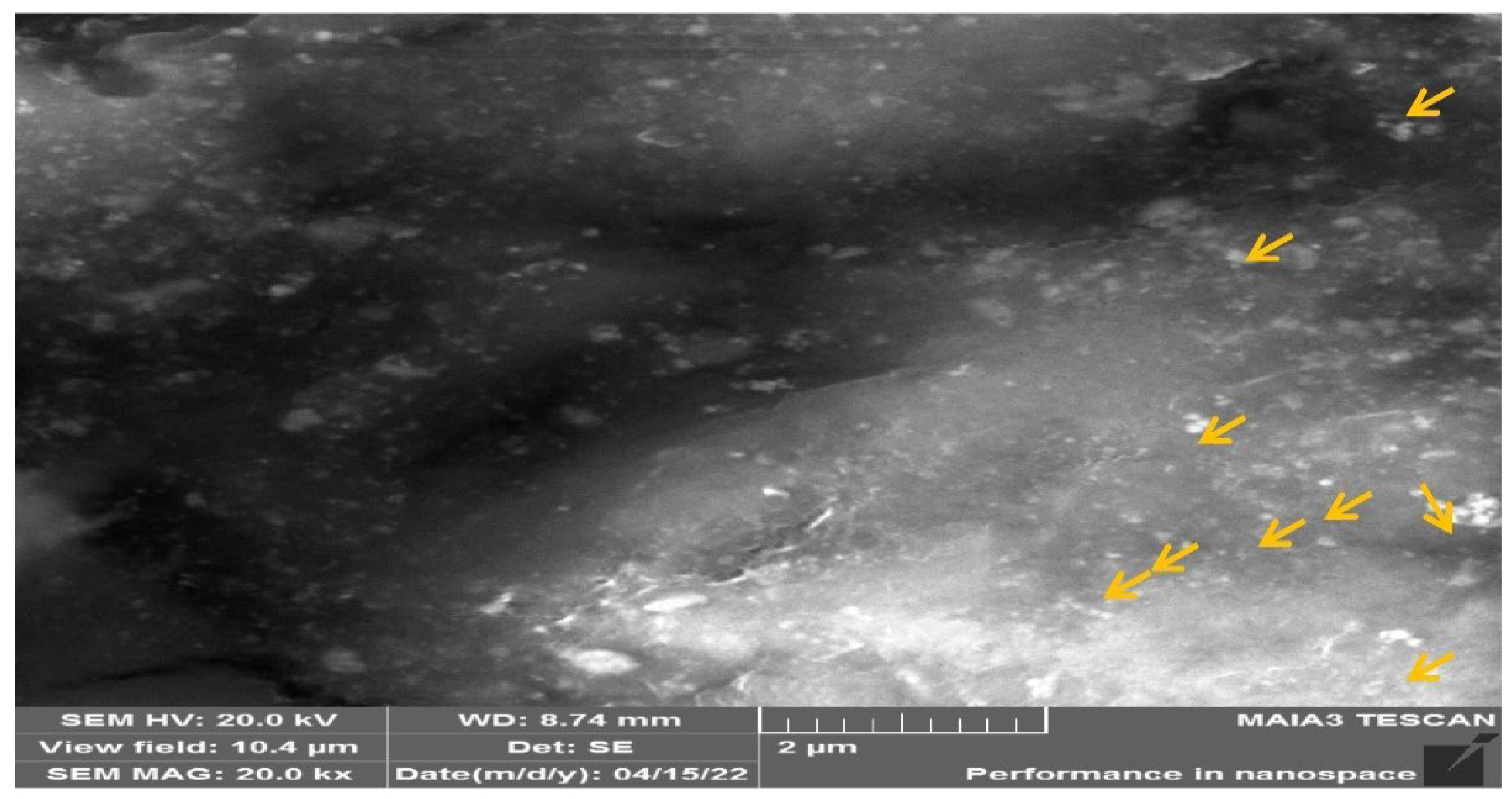 Molecules 27 06191 g007 Molecules 27 06191 g007