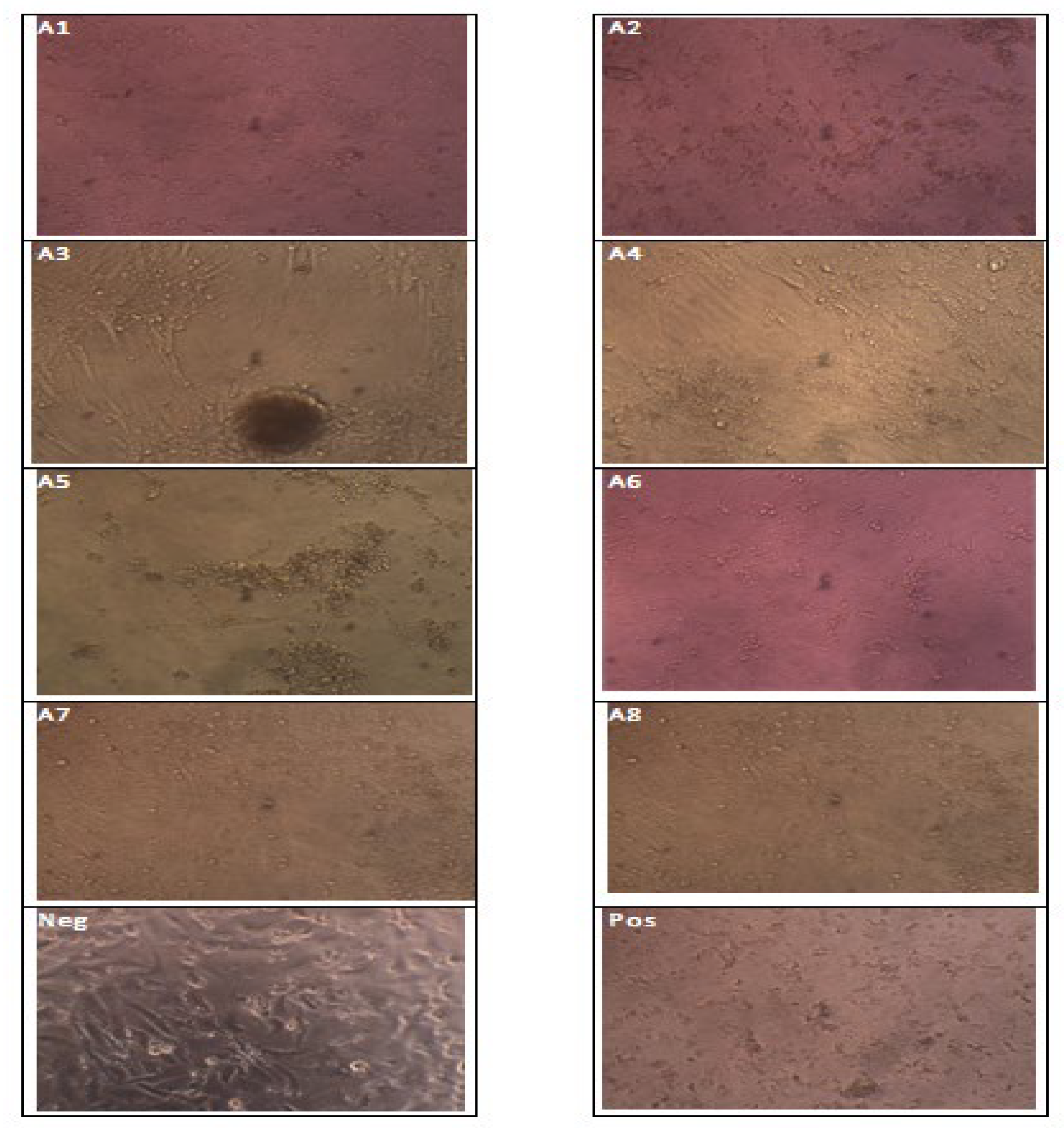 Molecules 27 06191 g008 Molecules 27 06191 g008
