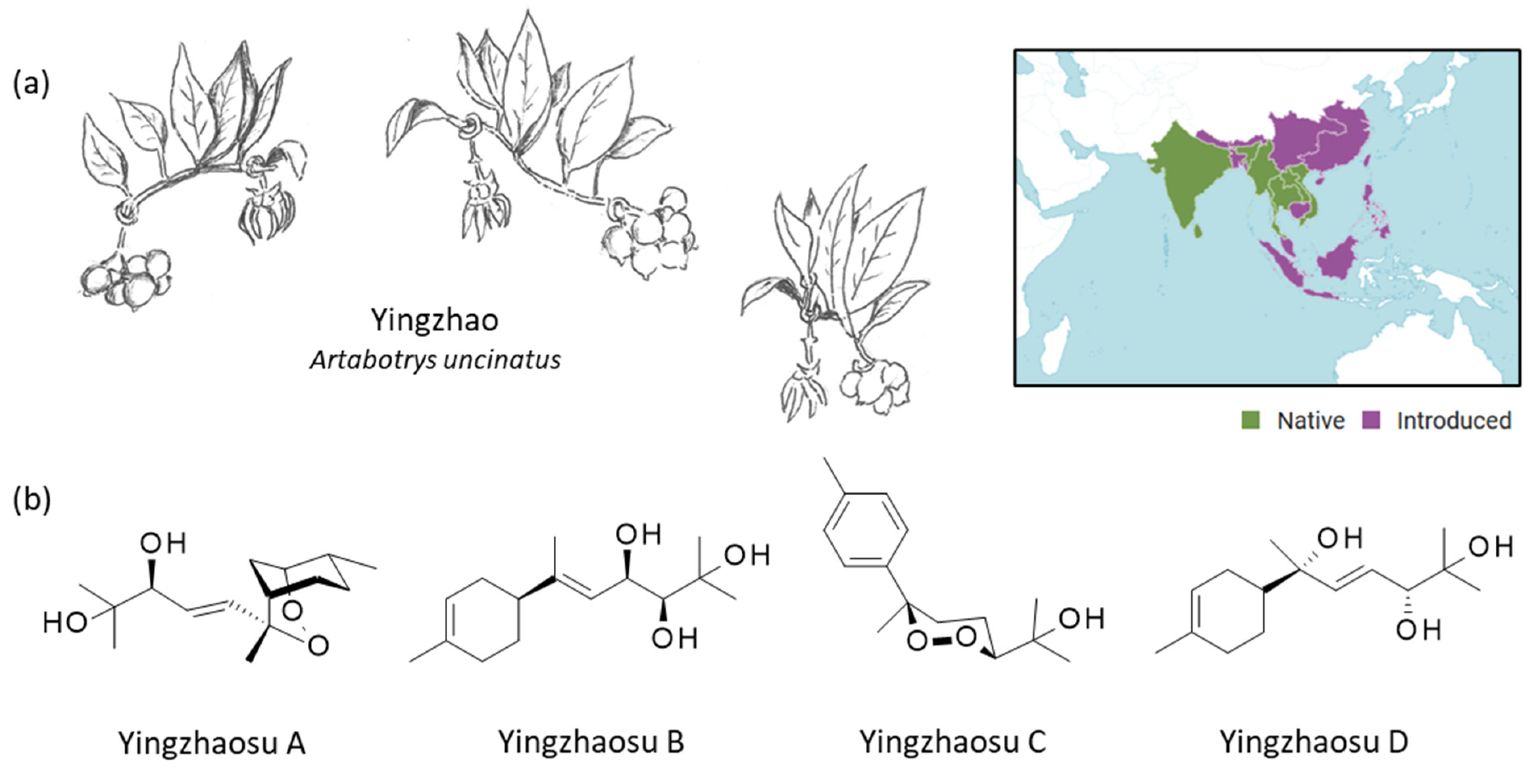 Molecules 27 06192 g001 Molecules 27 06192 g001