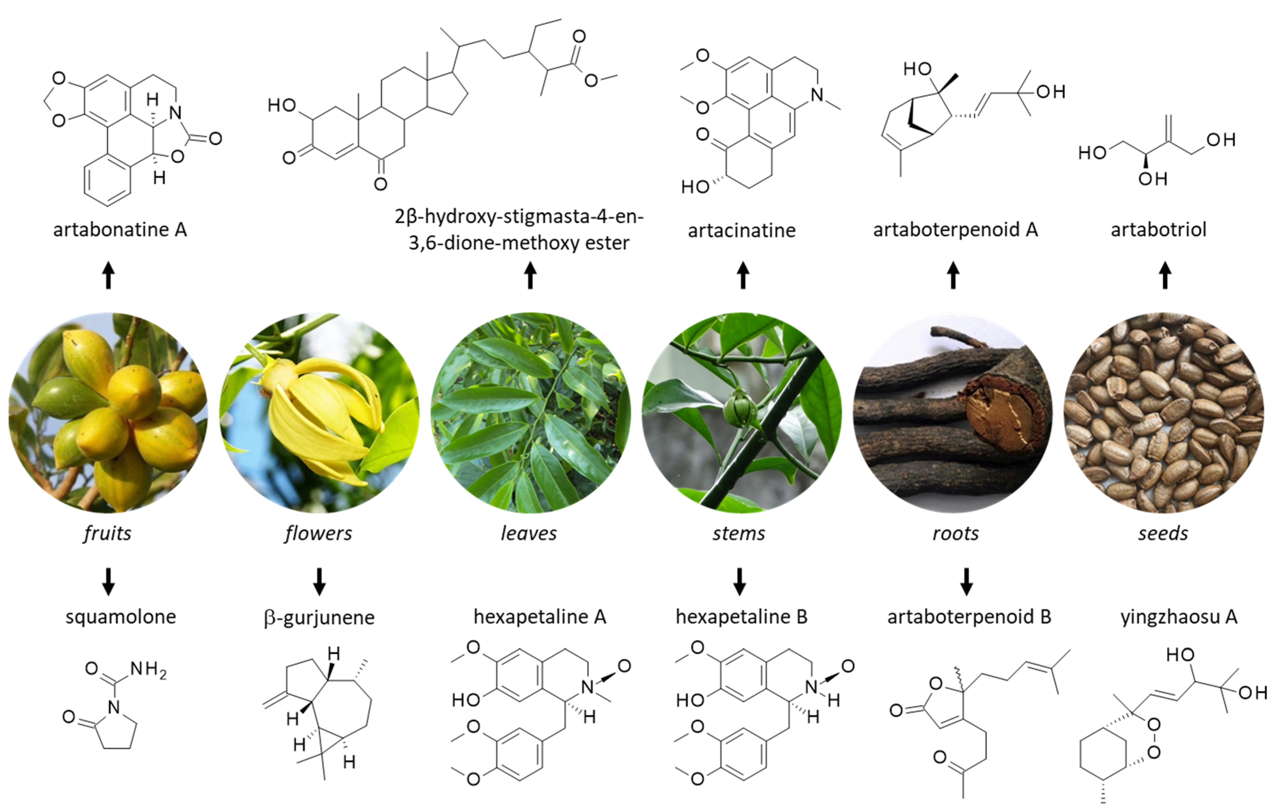 Molecules 27 06192 g002 Molecules 27 06192 g002