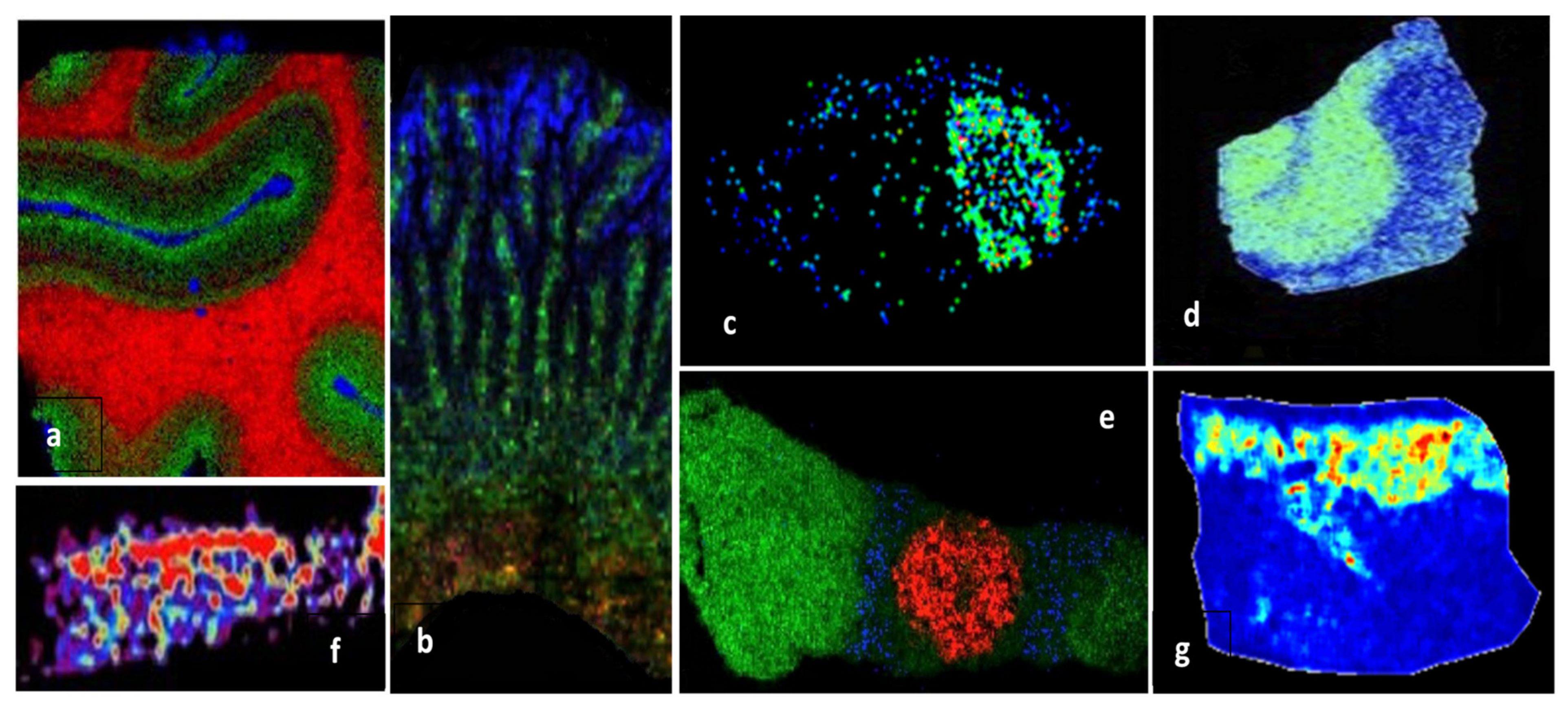 Molecules 27 06196 g004