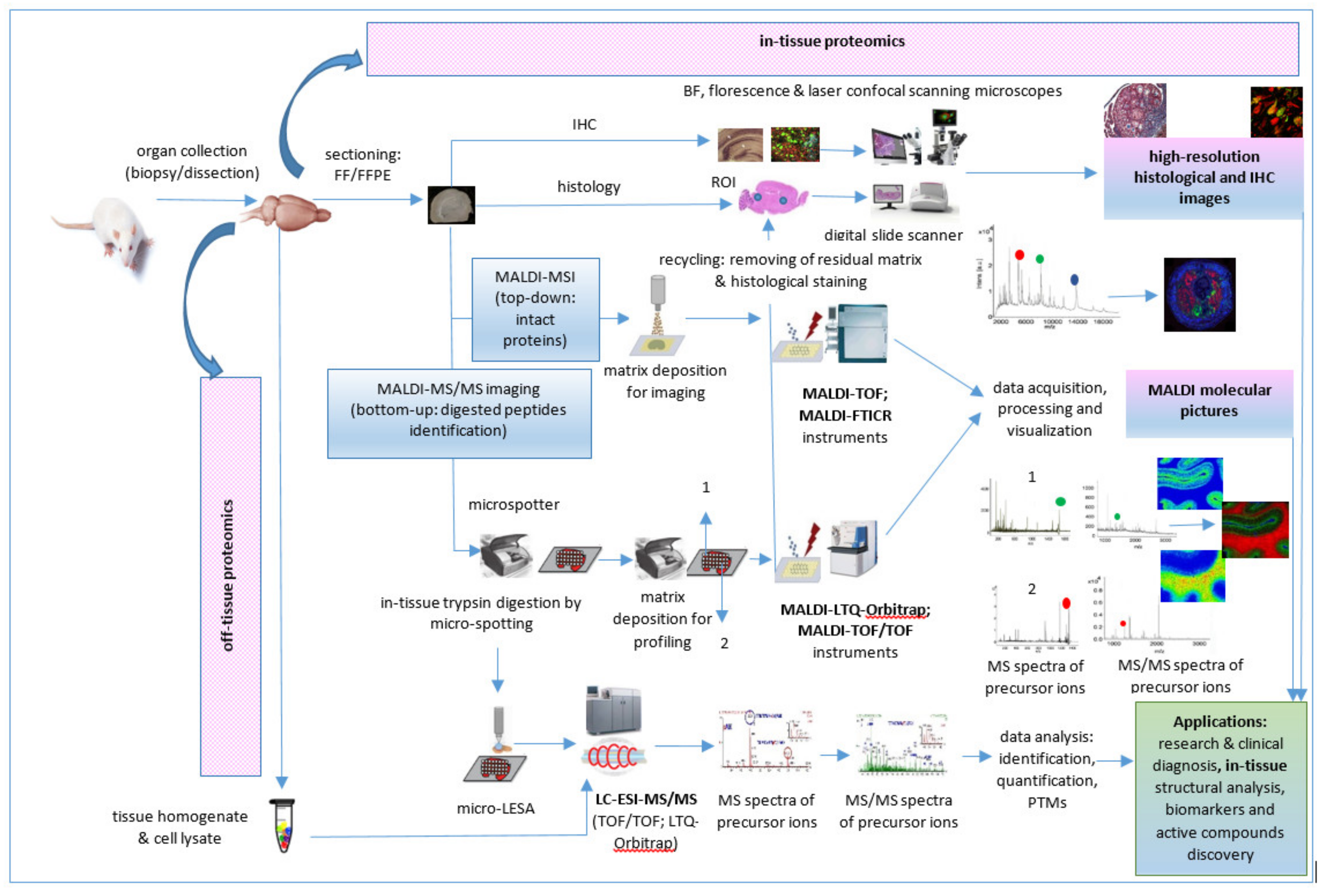 Molecules 27 06196 g005