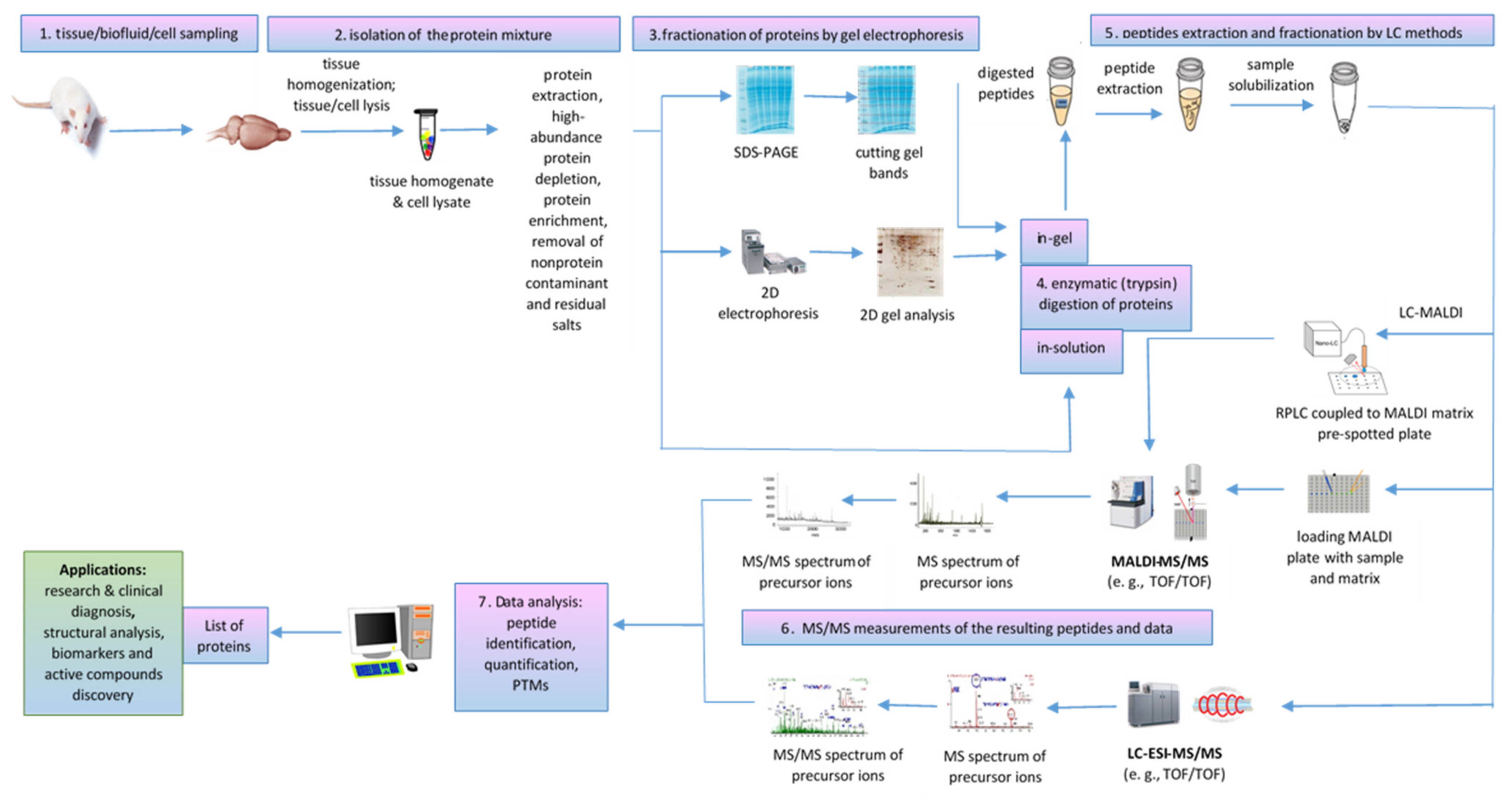 Molecules 27 06196 g006