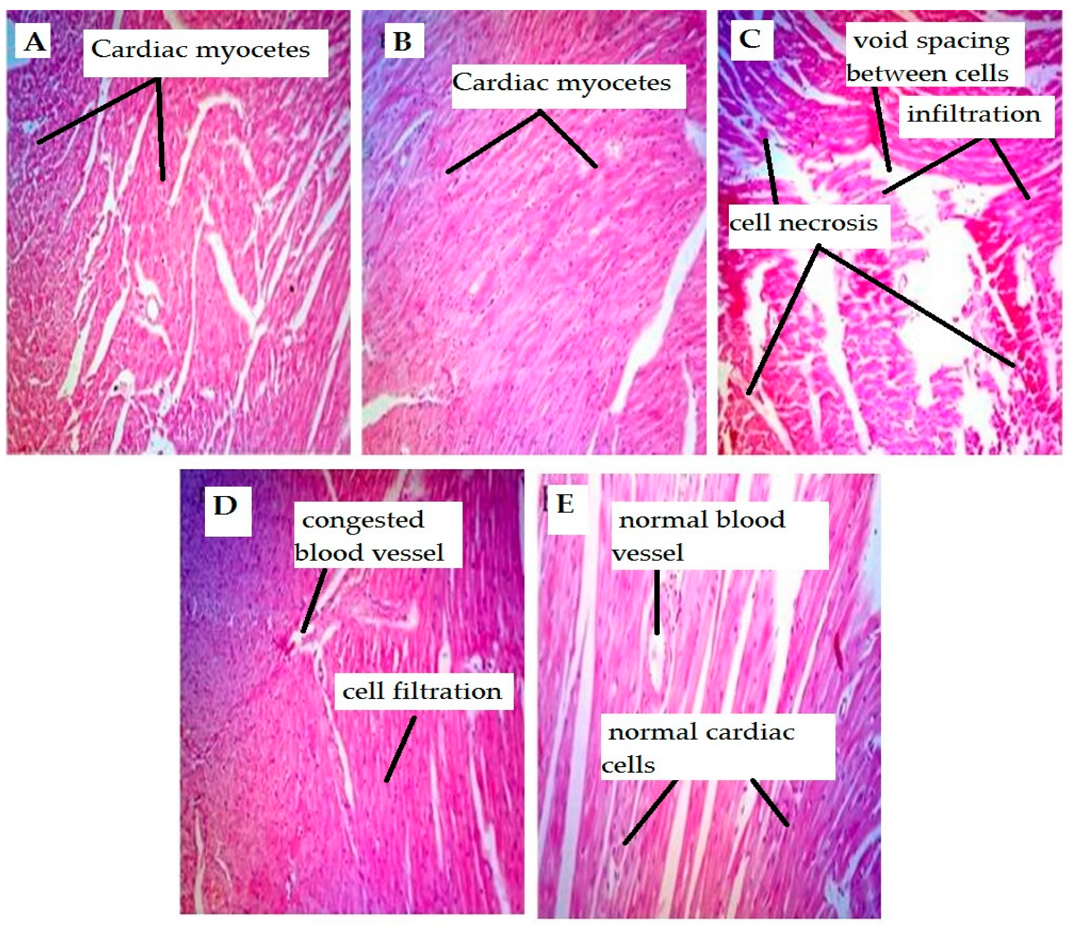 Molecules 27 06199 g001 Molecules 27 06199 g001