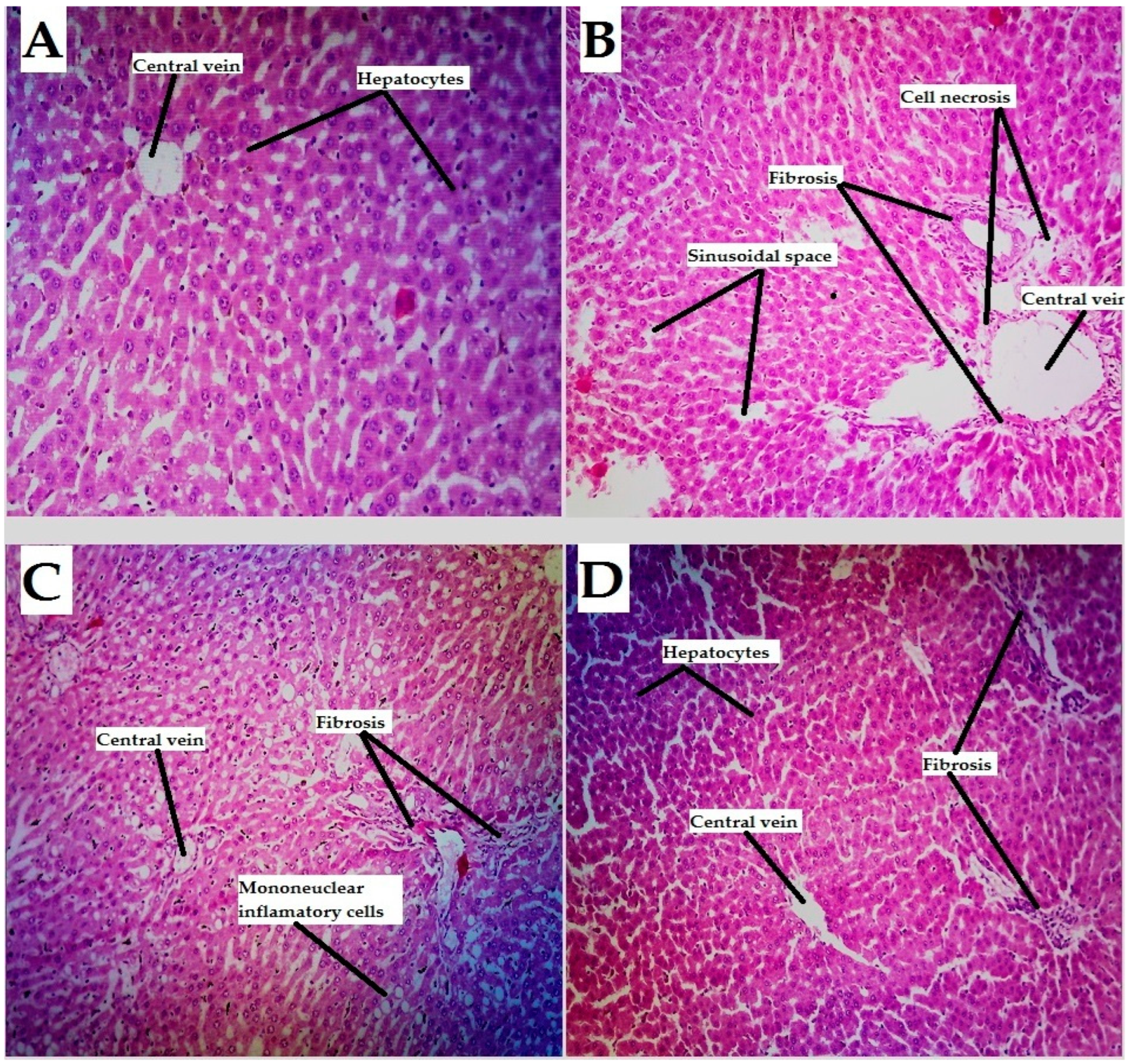 Molecules 27 06199 g002 Molecules 27 06199 g002