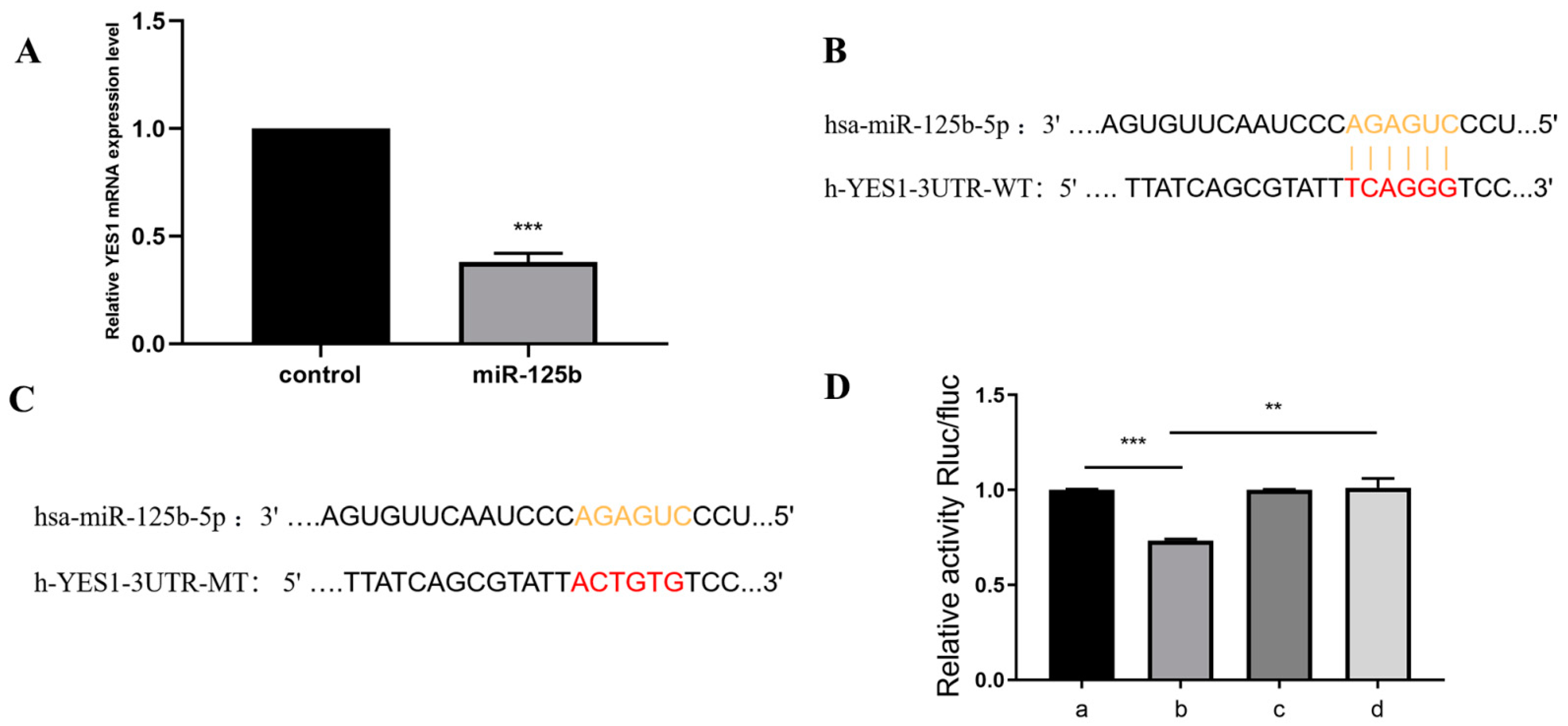 Molecules 27 06201 g002