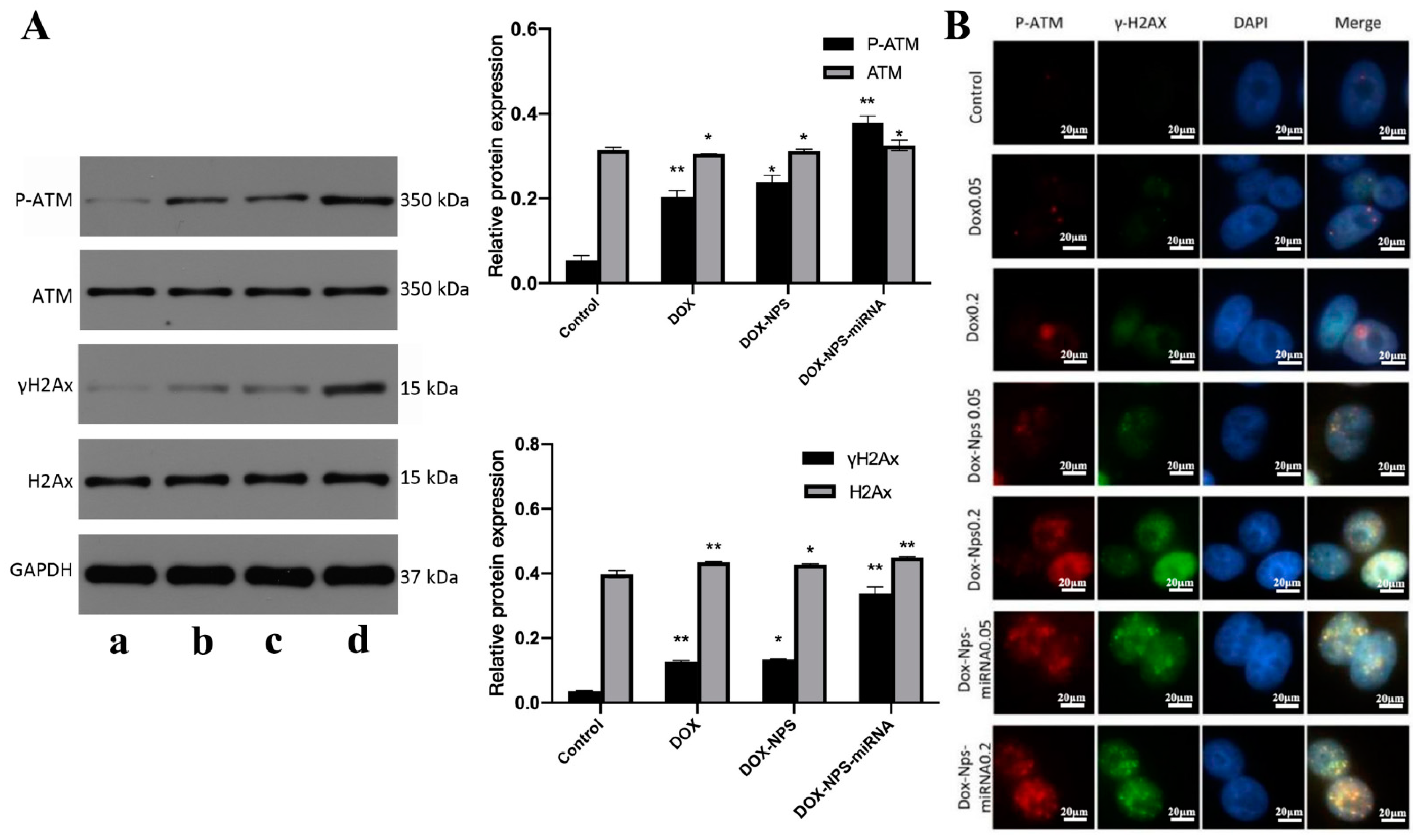 Molecules 27 06201 g006