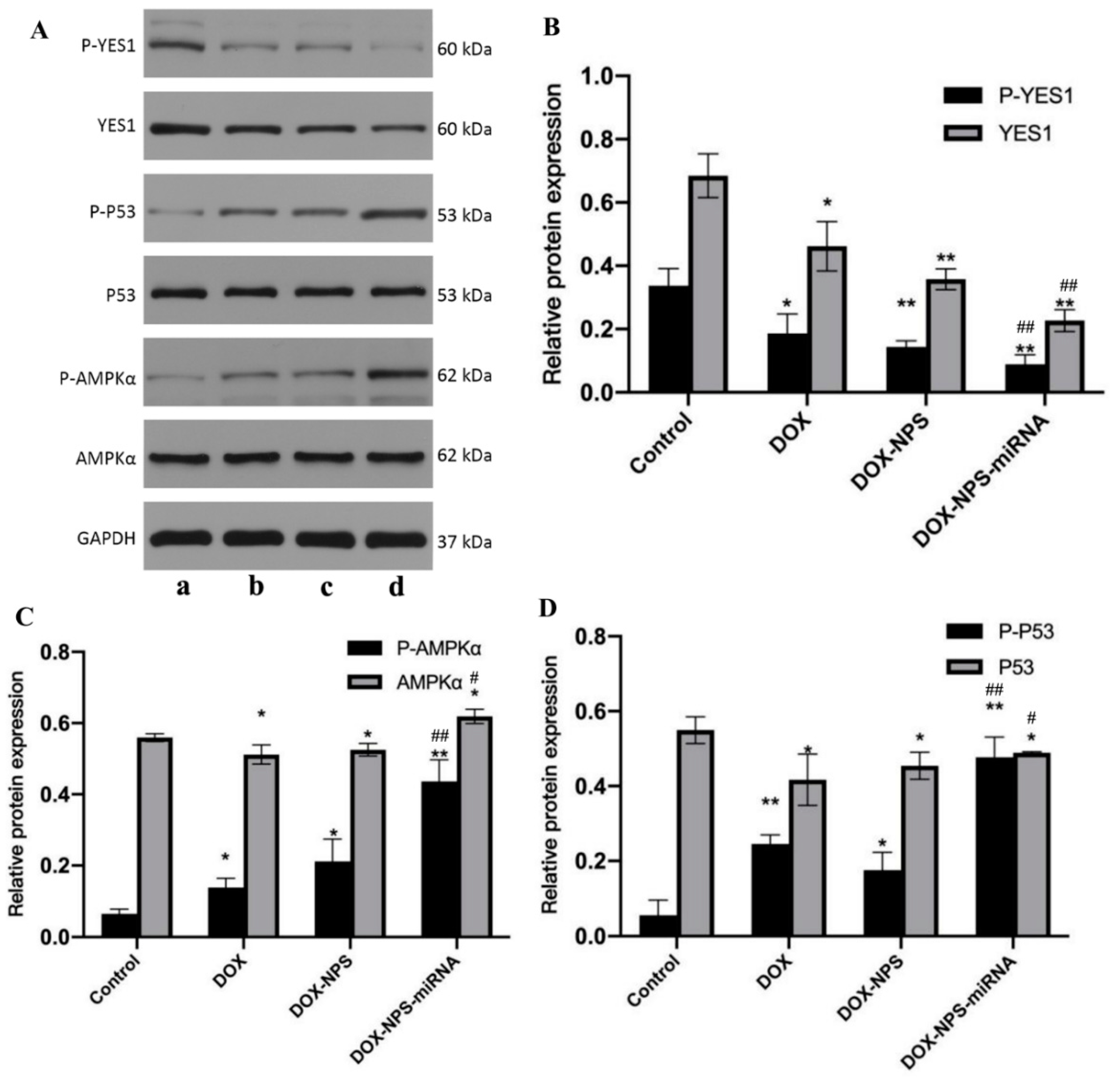 Molecules 27 06201 g008