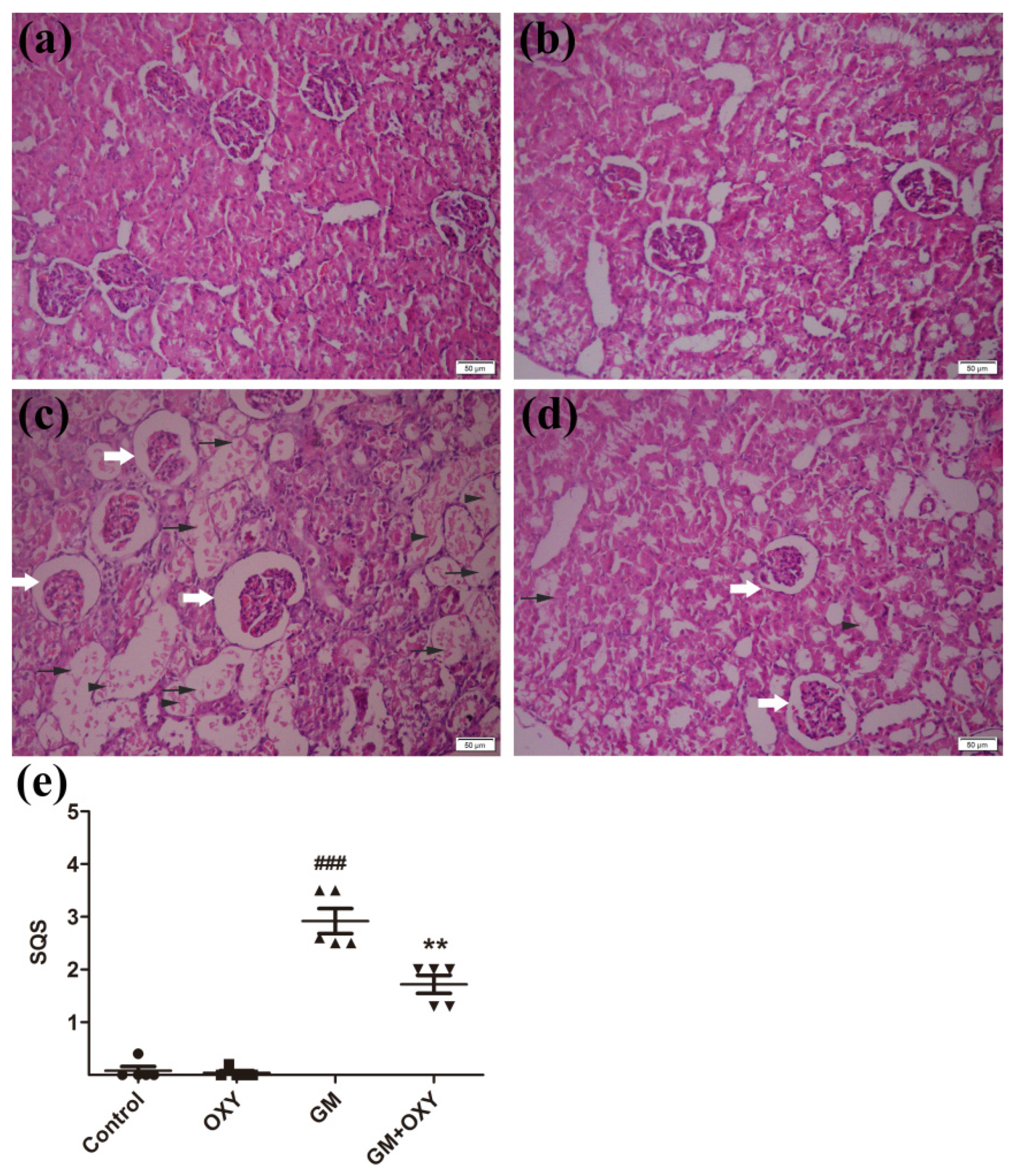Molecules 27 06209 g002