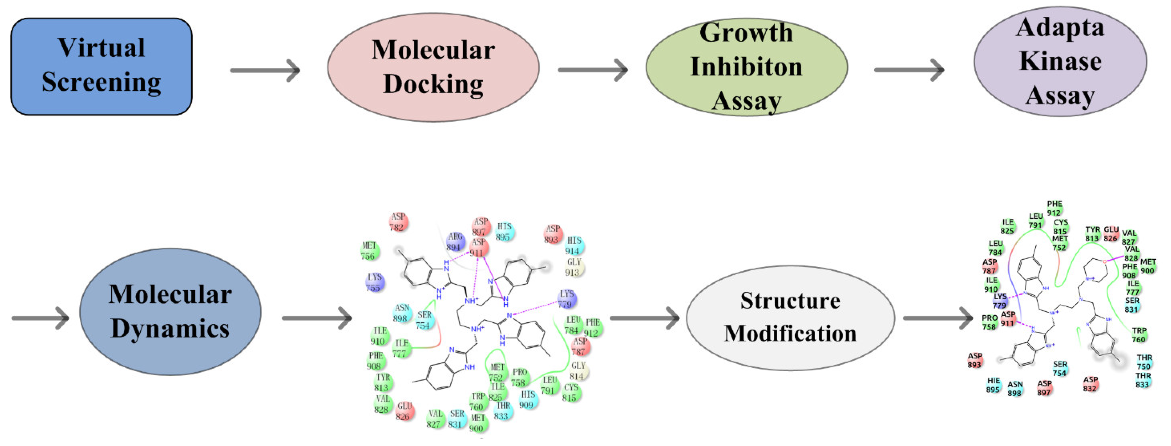 Molecules 27 06211 g001