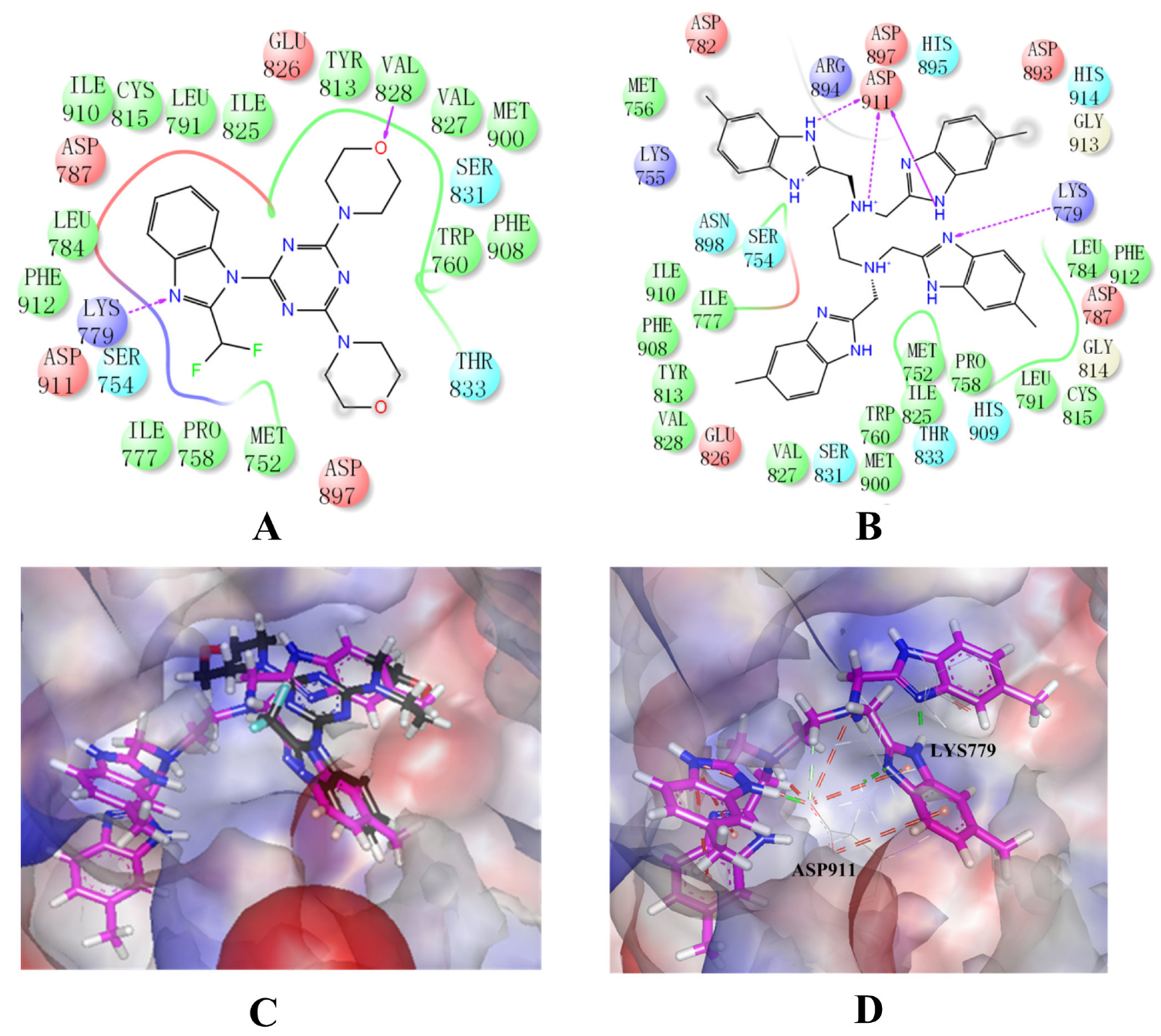 Molecules 27 06211 g005