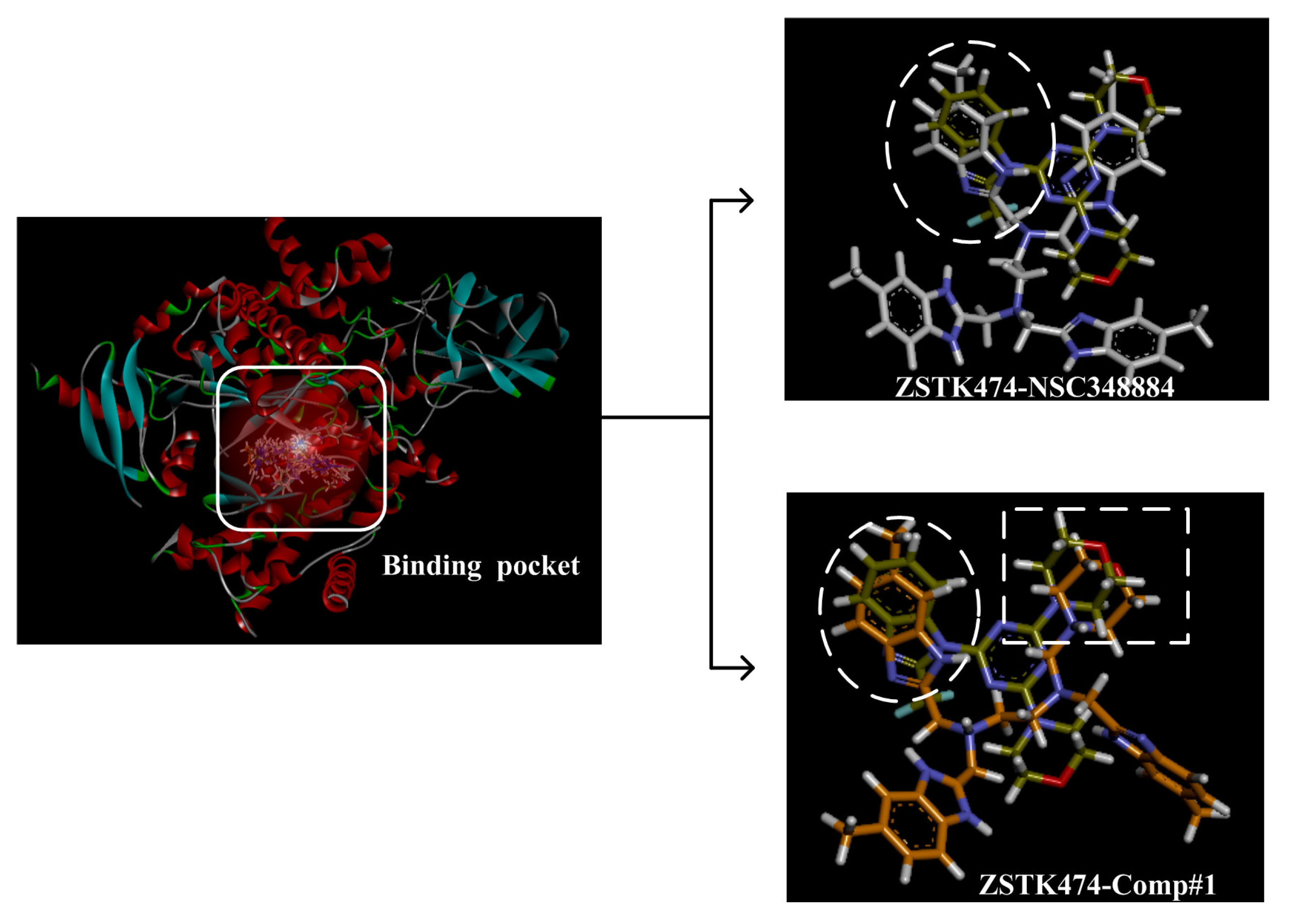 Molecules 27 06211 g010