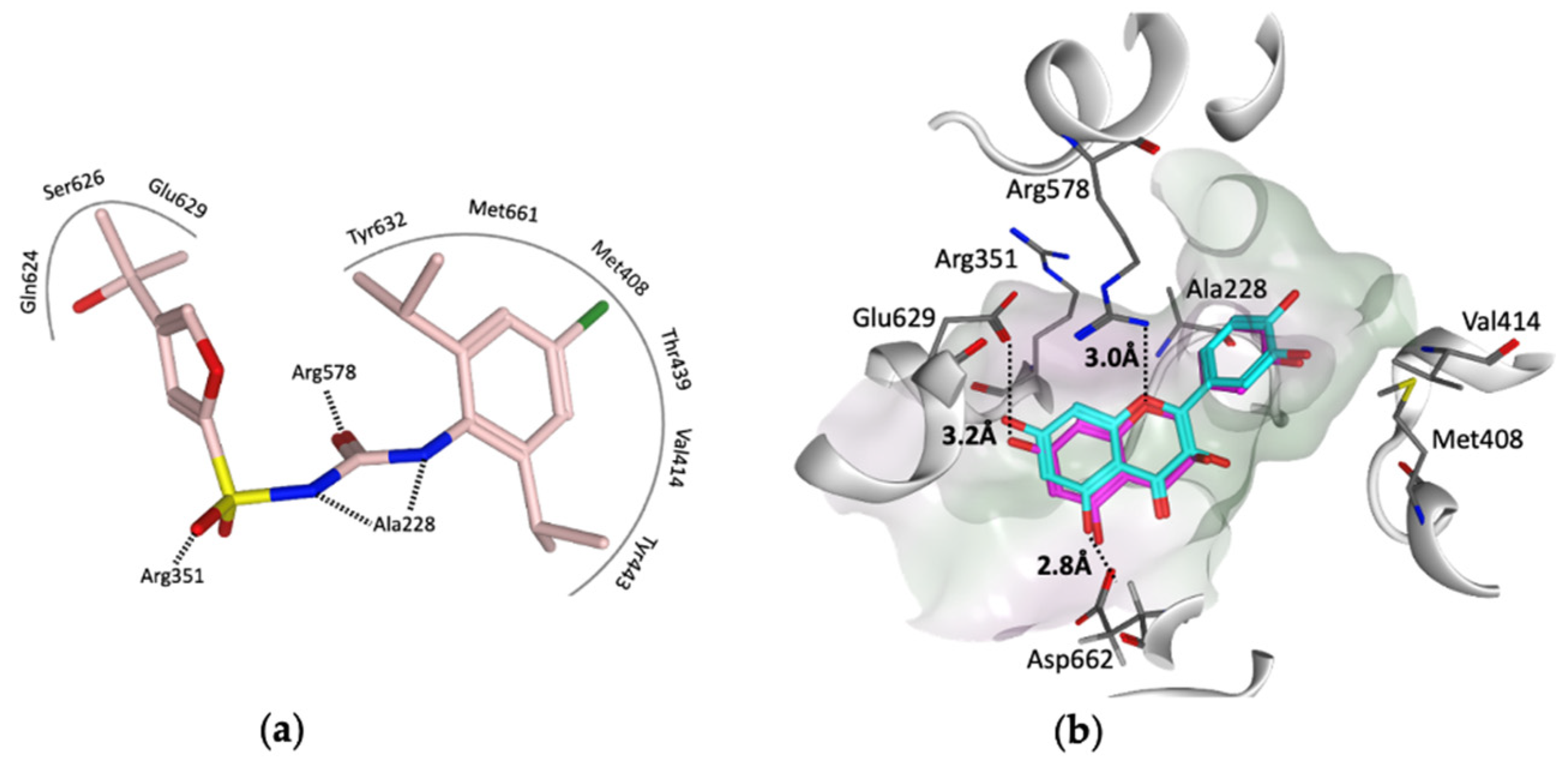 Molecules 27 06213 g004