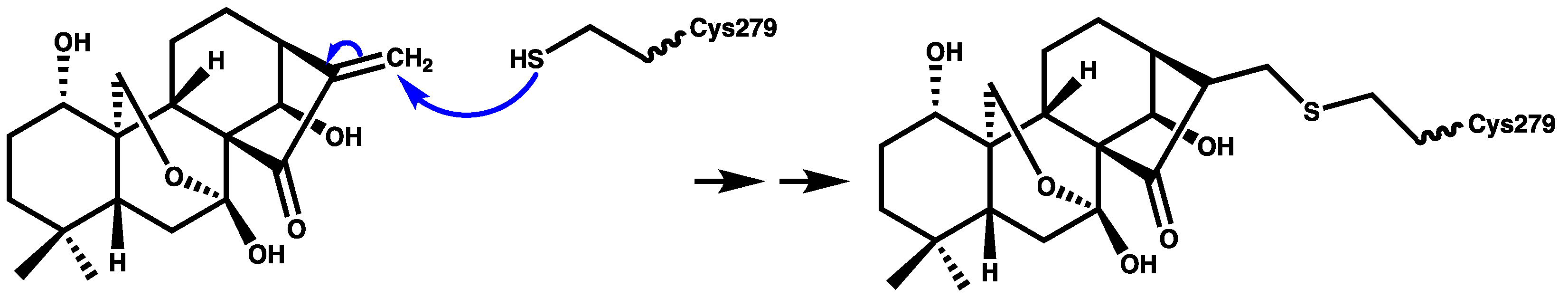Molecules 27 06213 g005