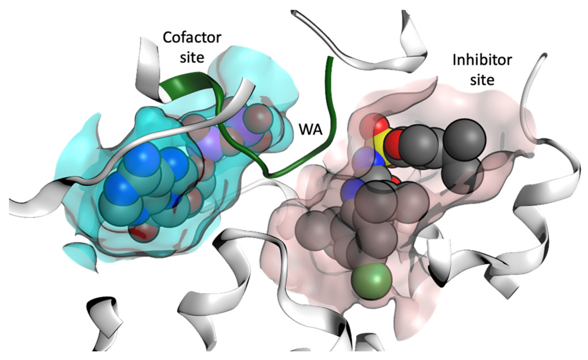Molecules 27 06213 g007