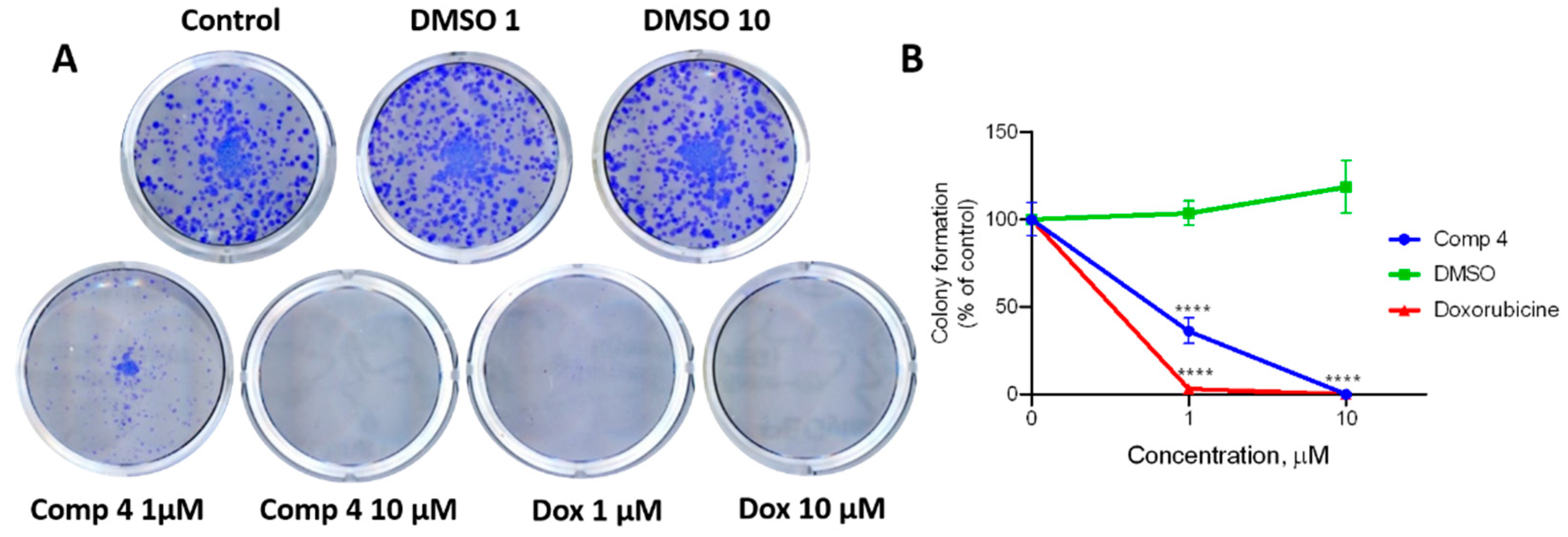 Molecules 27 06219 g010
