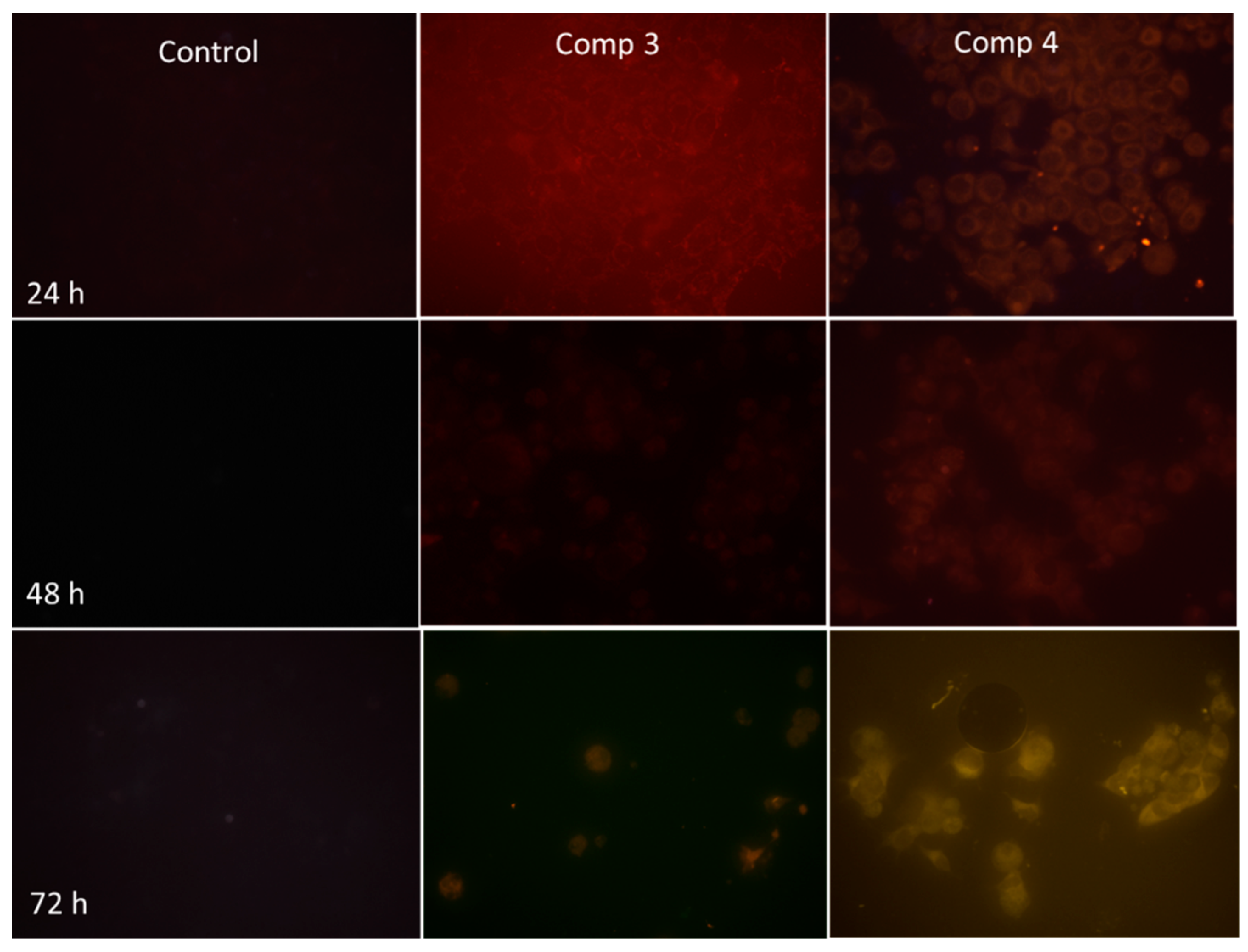 Molecules 27 06219 g013