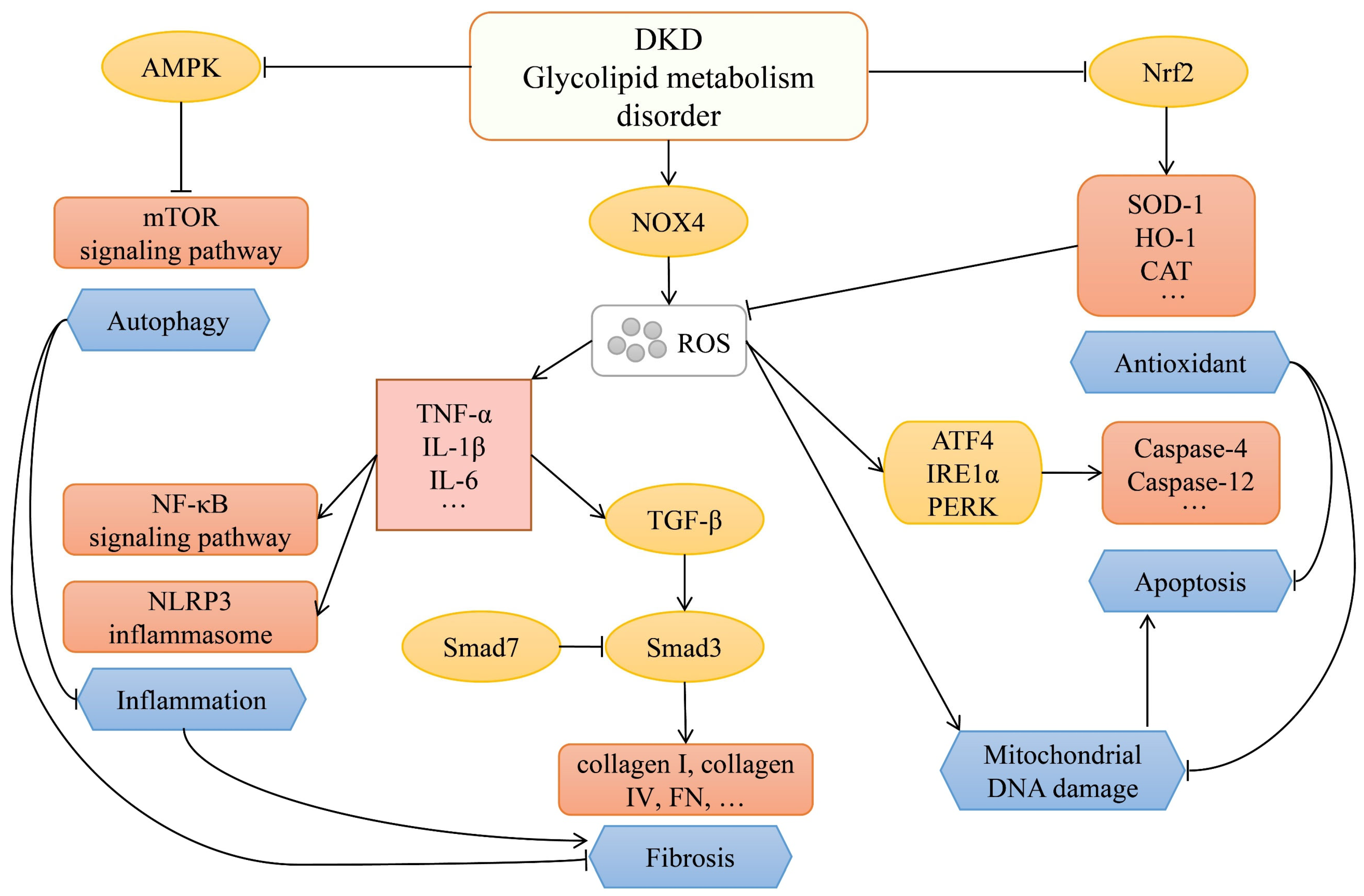 Molecules 27 06221 g001