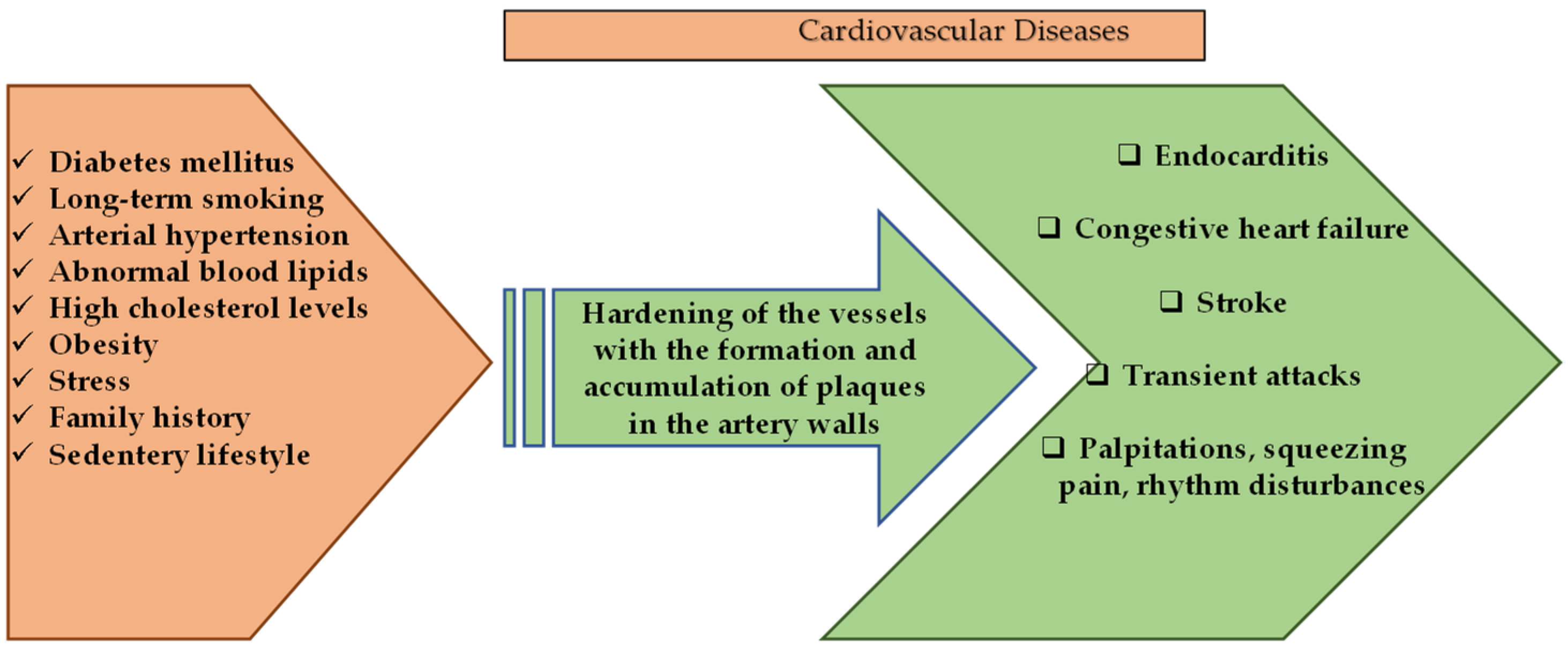 Molecules 27 06225 g002