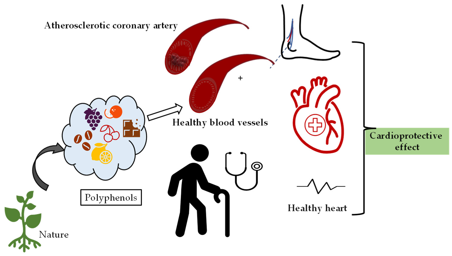 Molecules 27 06225 g003