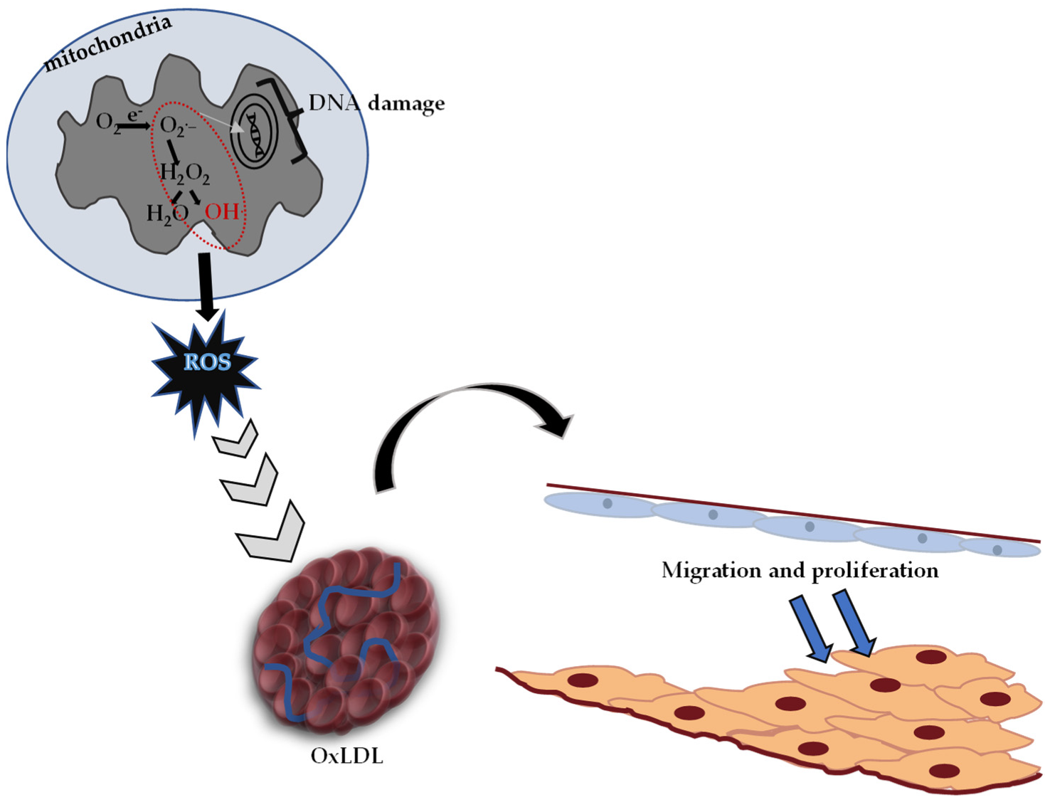 Molecules 27 06225 g004