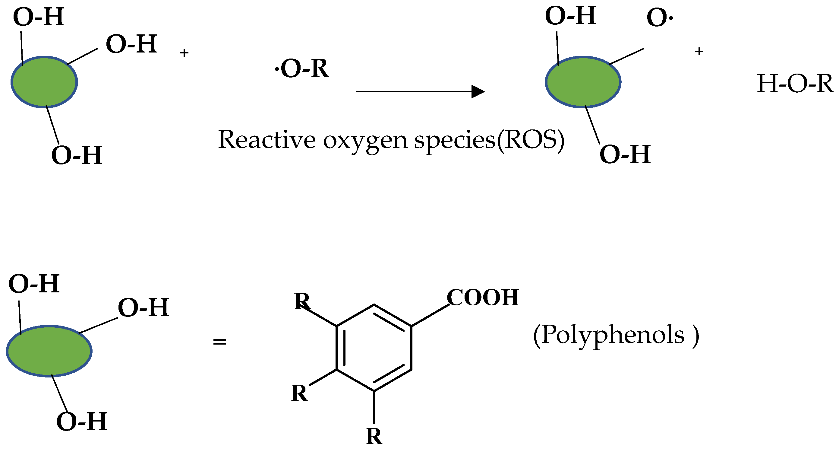 Molecules 27 06225 g005