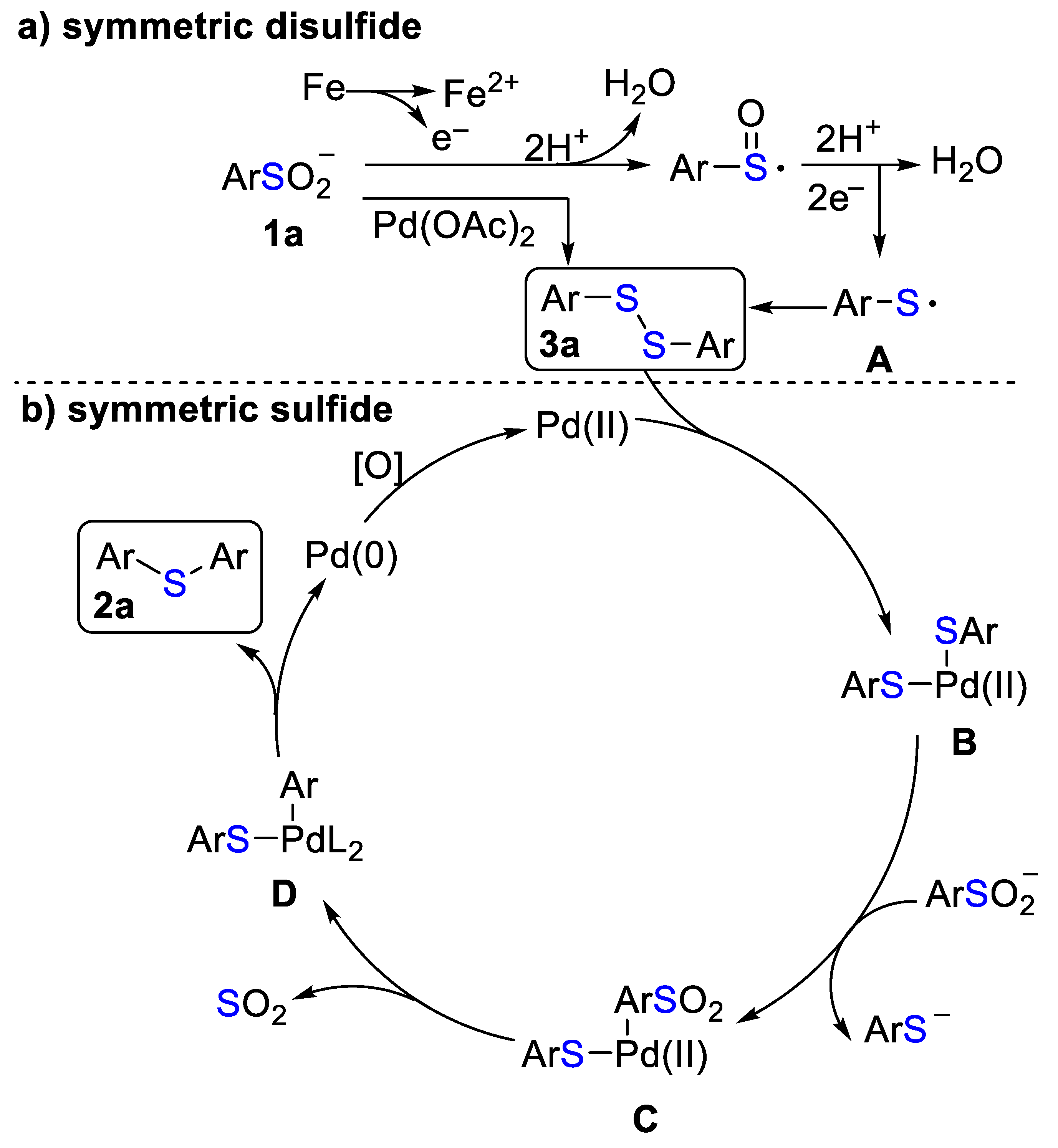 Molecules 27 06232 sch004