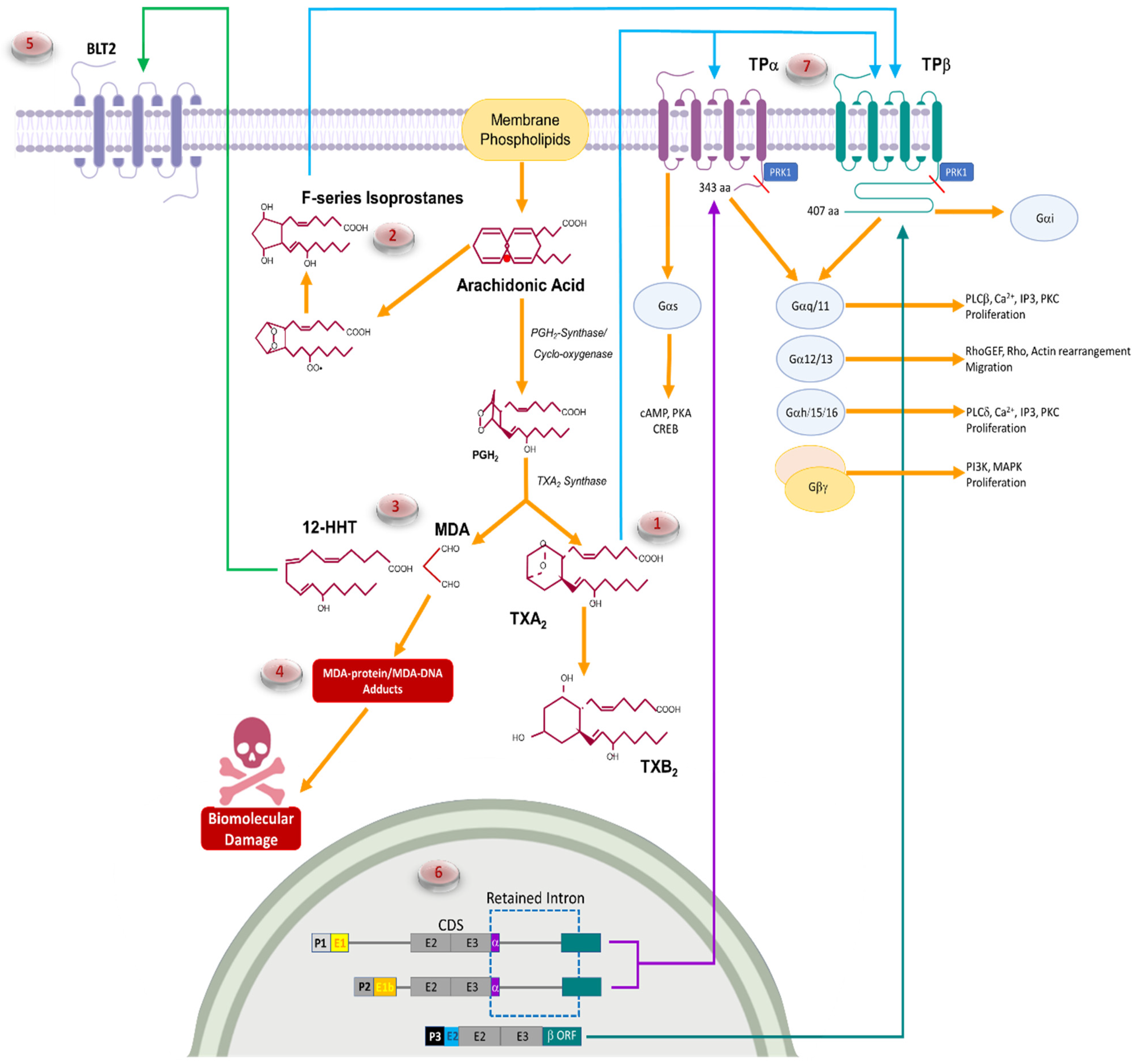 Molecules 27 06234 g001