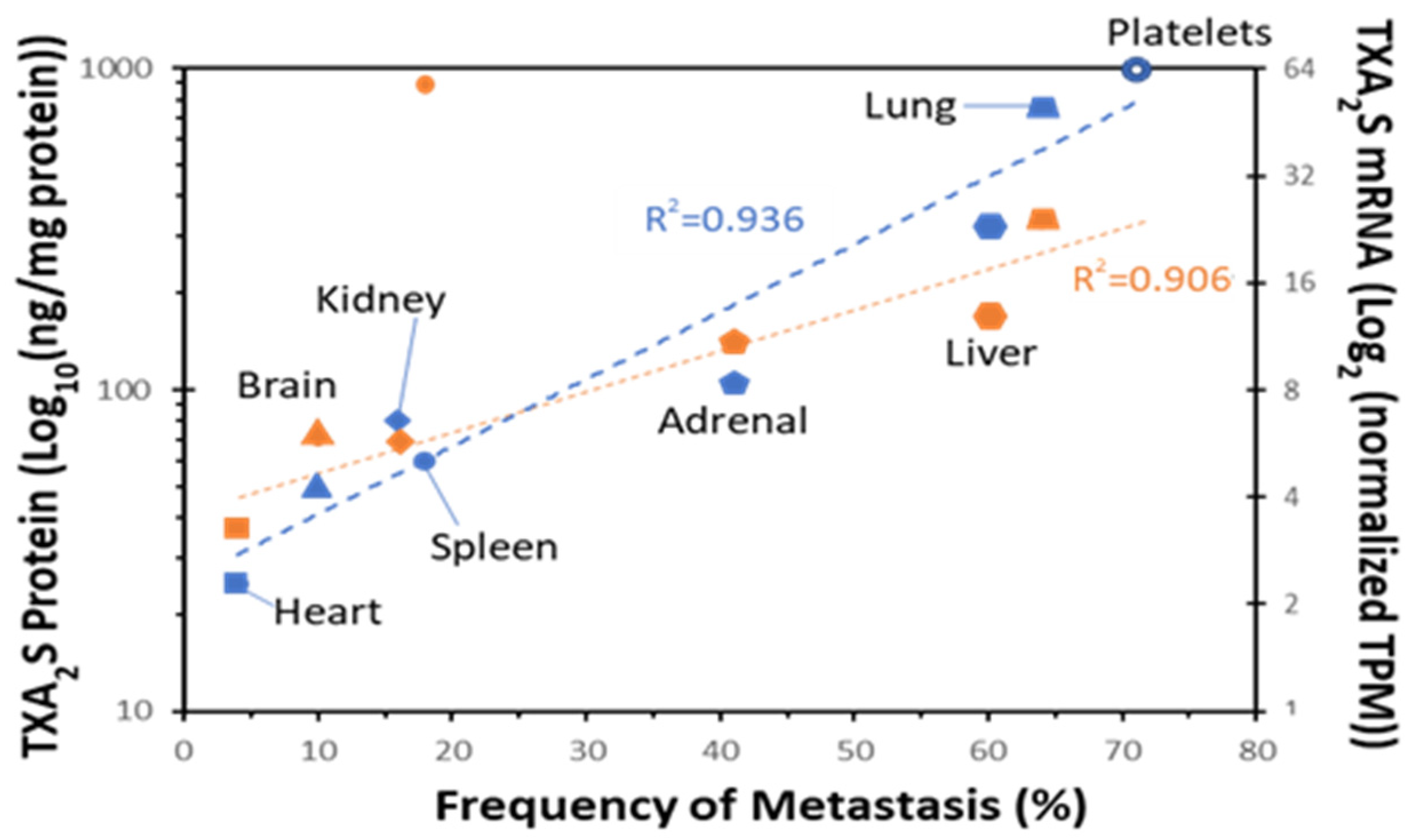 Molecules 27 06234 g007