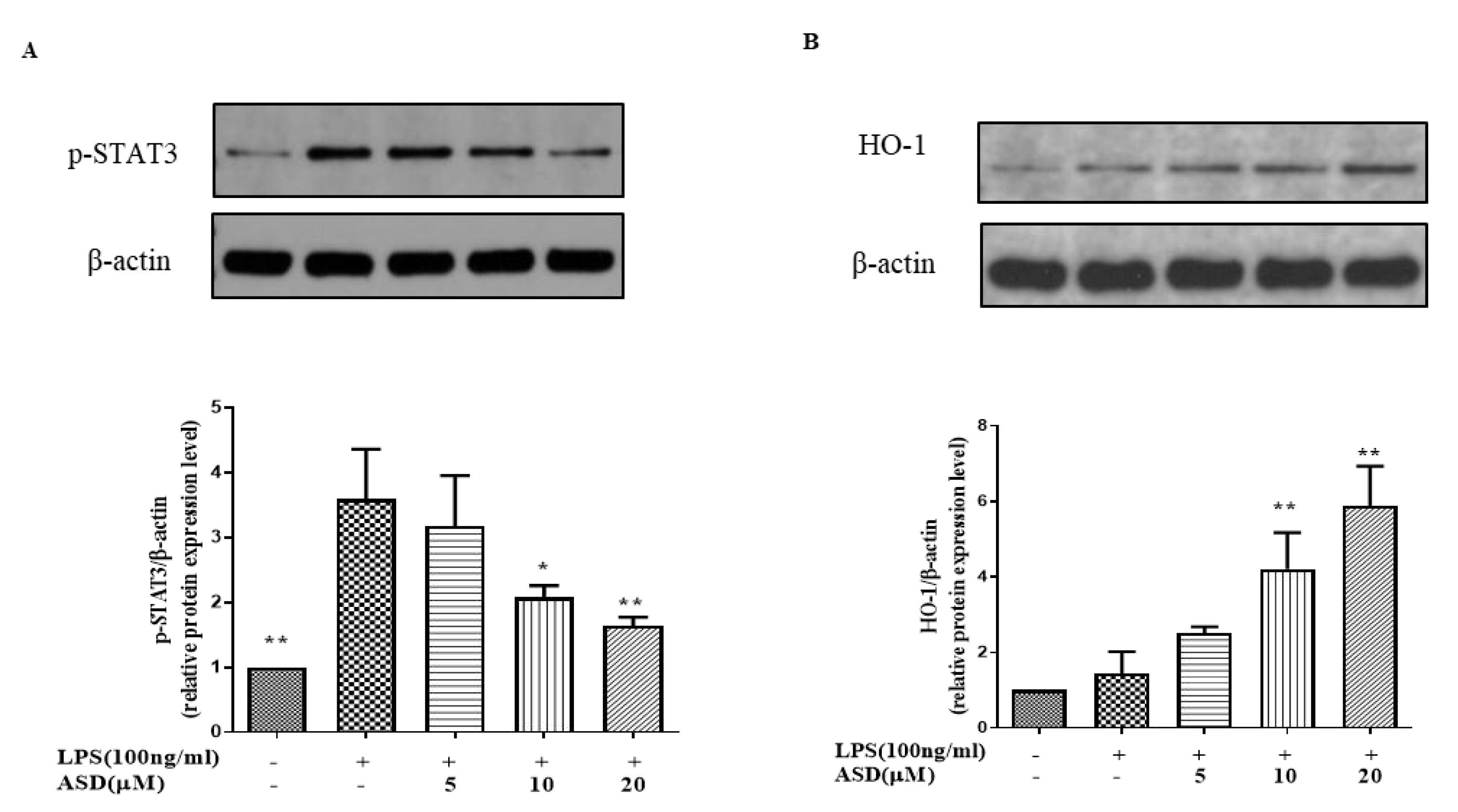 Molecules 27 06236 g004