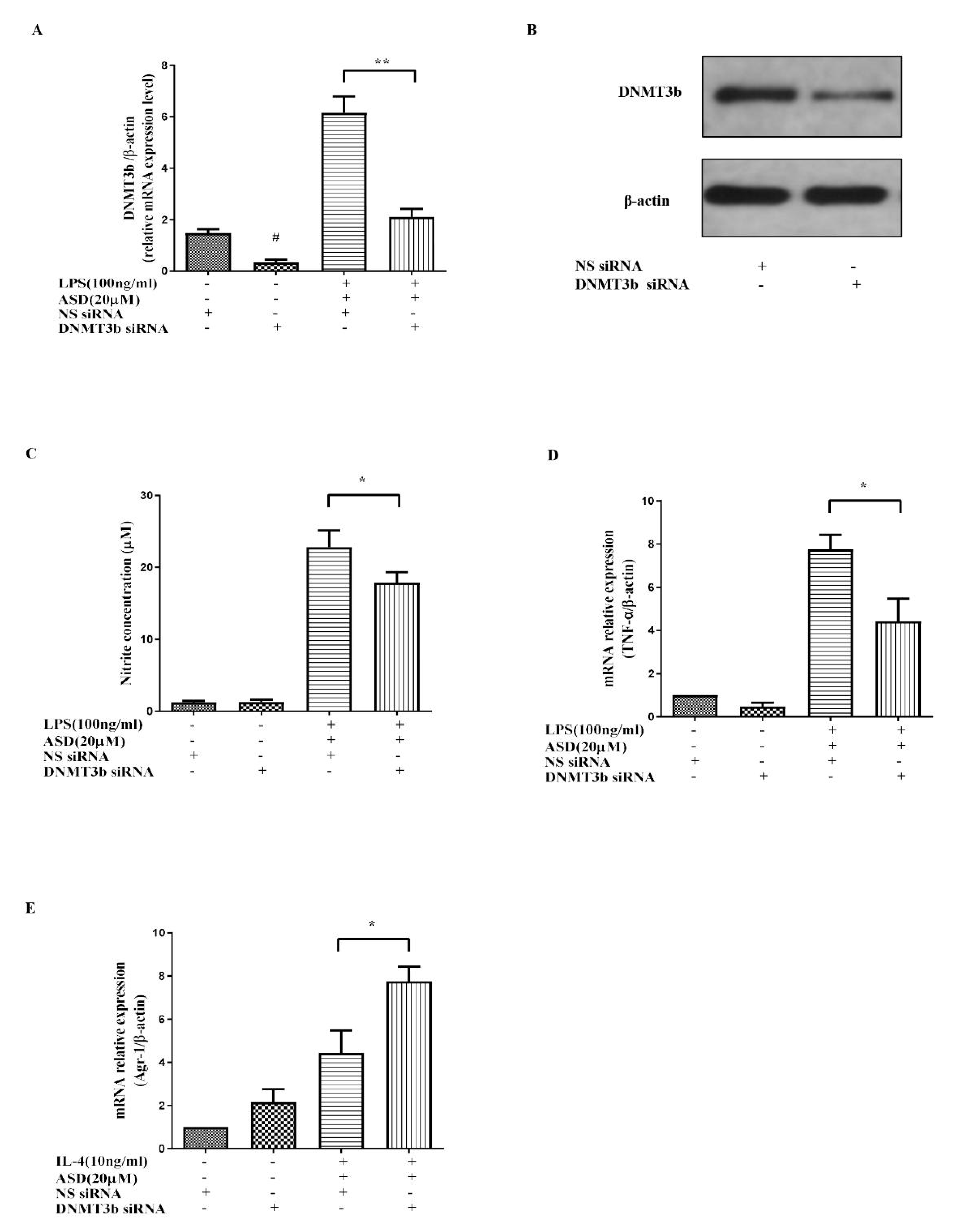 Molecules 27 06236 g005
