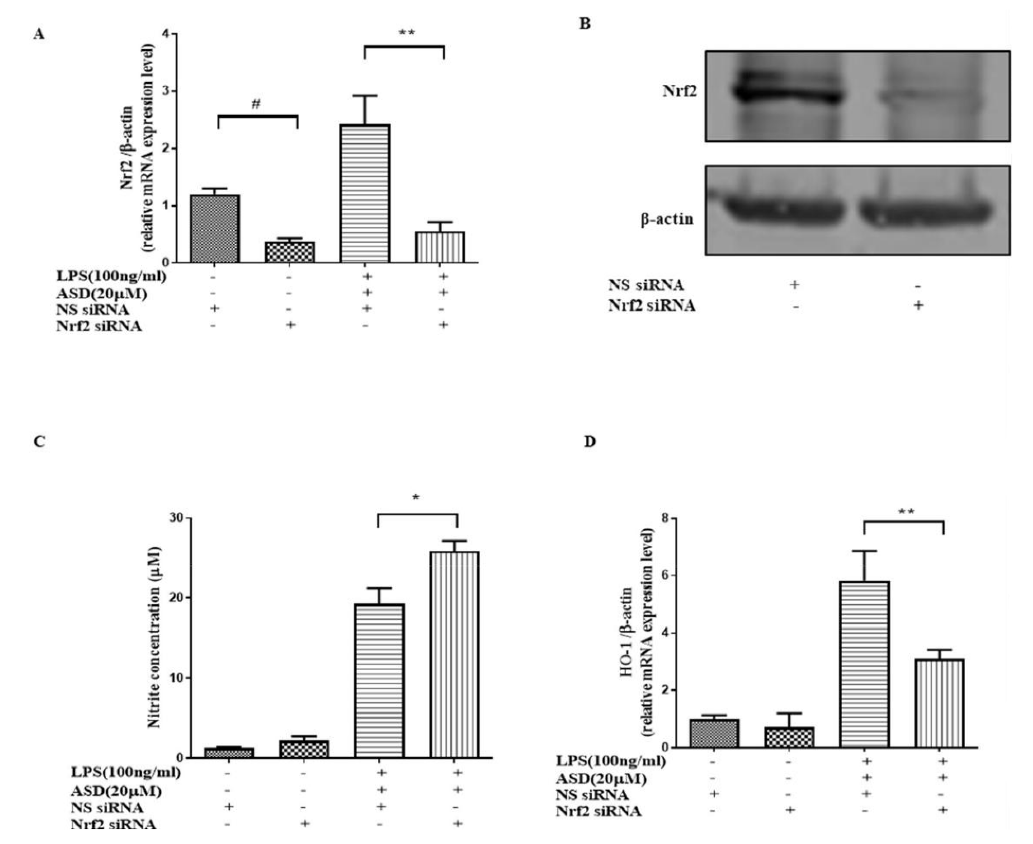 Molecules 27 06236 g006