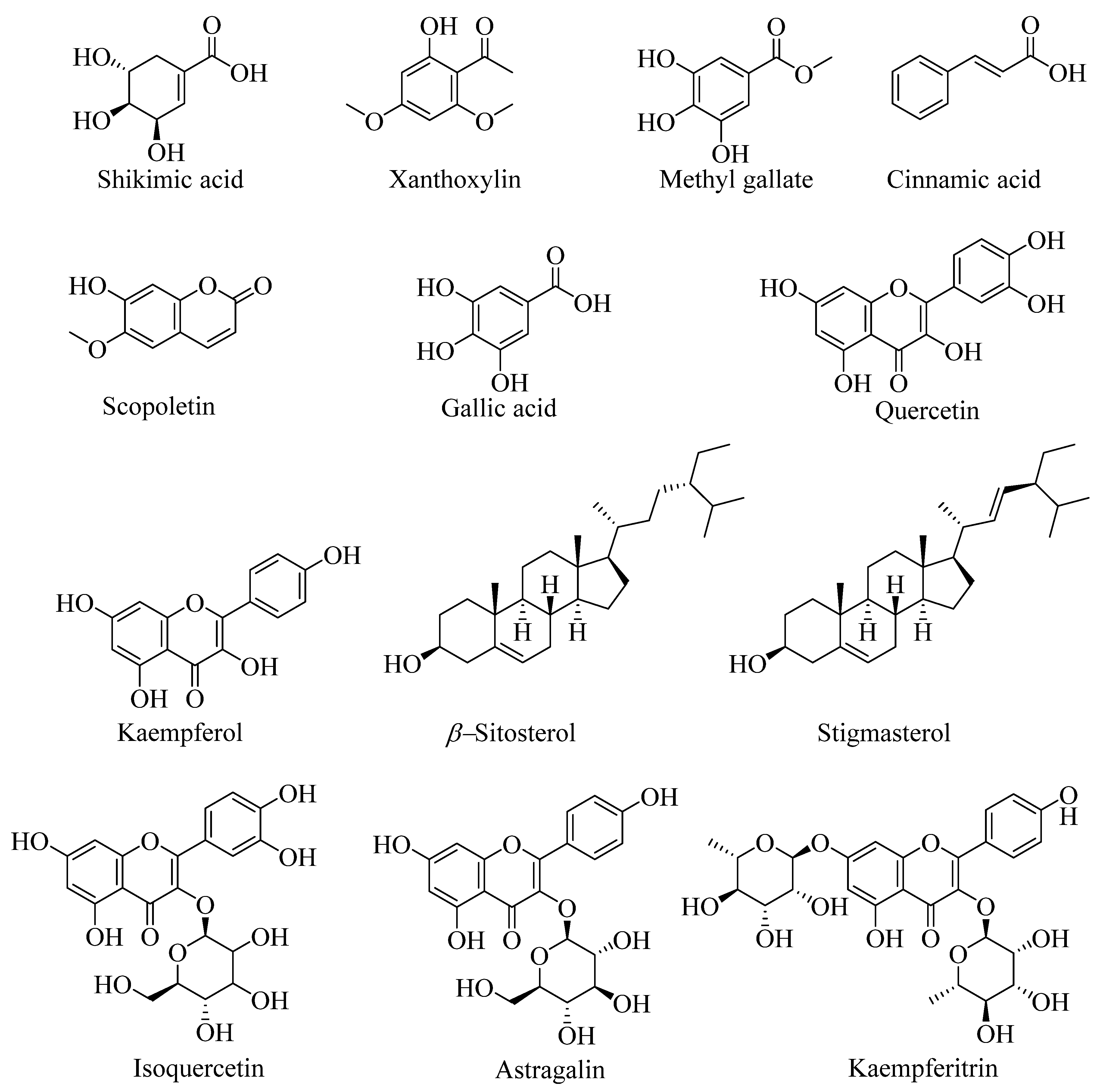 Molecules 27 06239 g001 Molecules 27 06239 g001