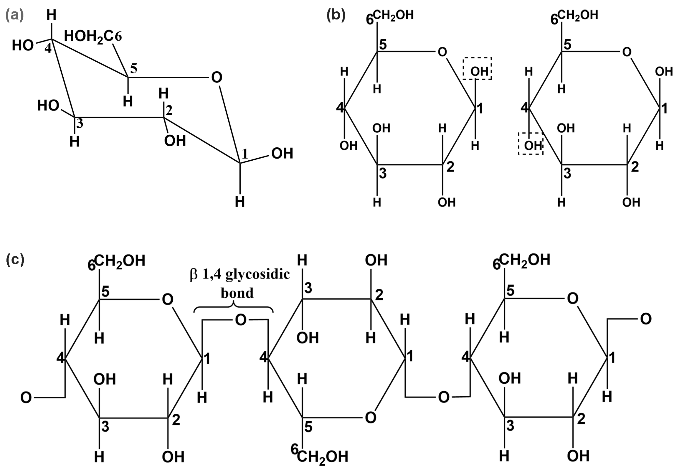 Molecules 27 06240 g001 Molecules 27 06240 g001