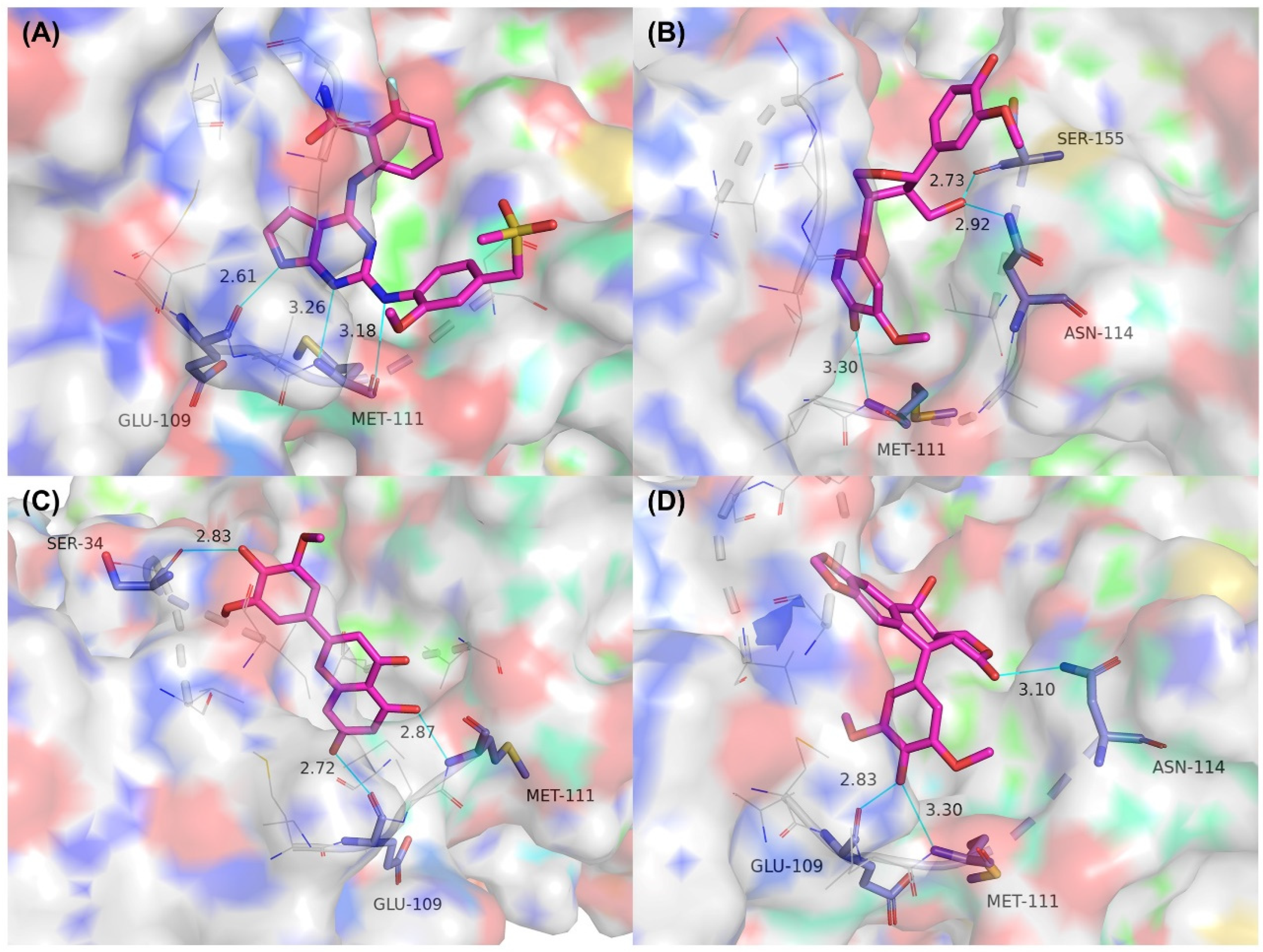 Molecules 27 06249 g008