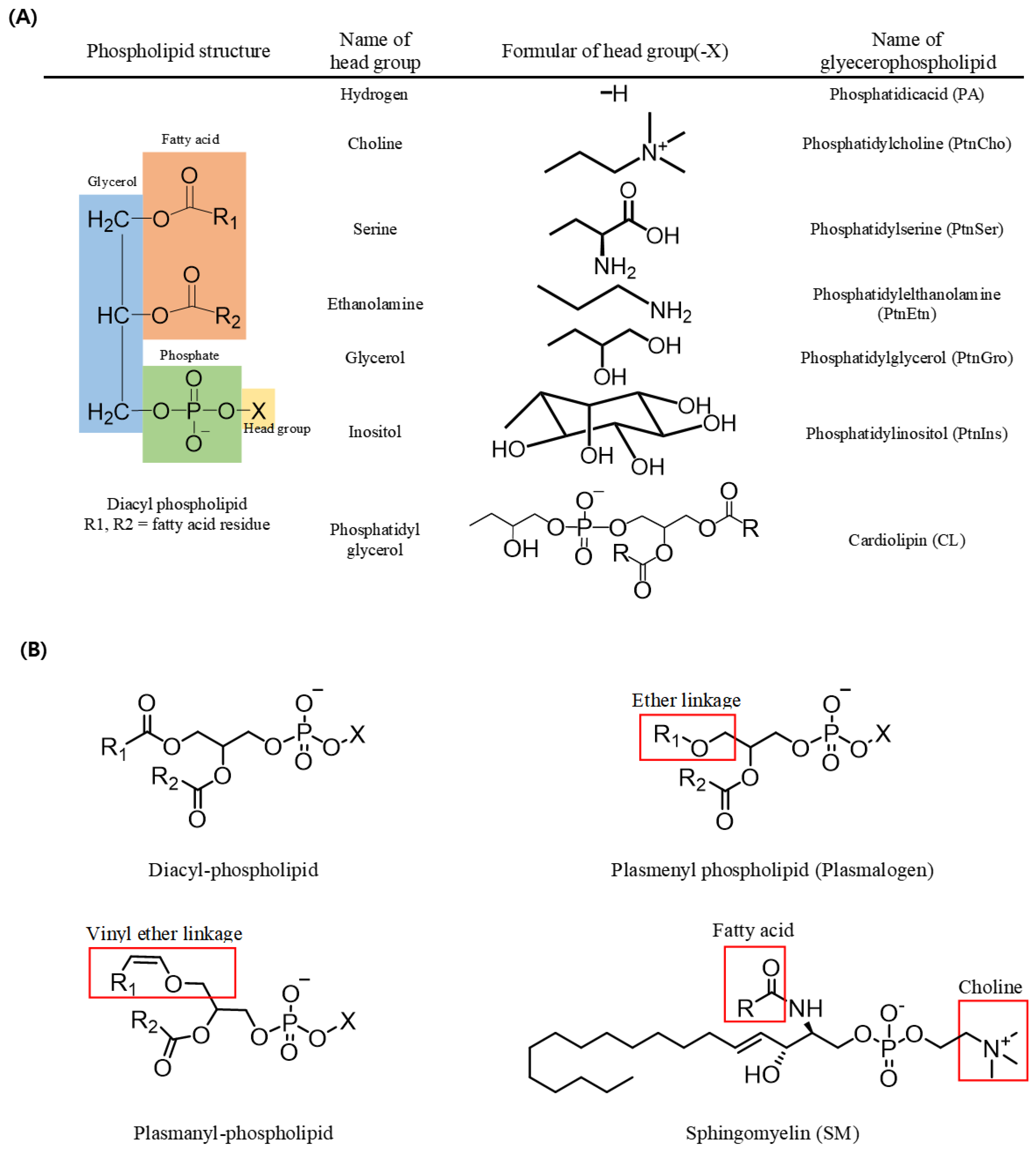 Molecules 27 06250 g001 Molecules 27 06250 g001